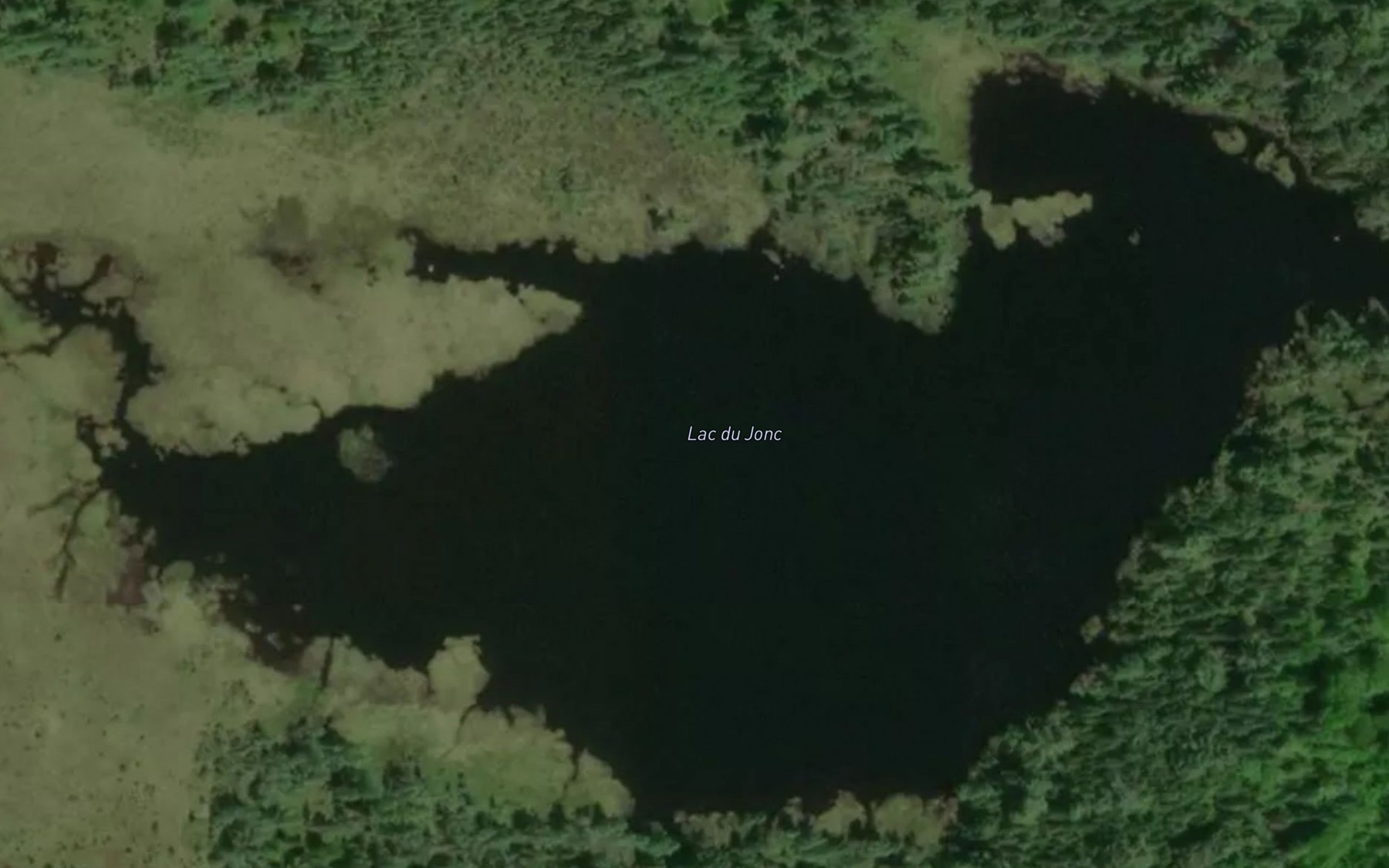 Satellite map of the Lac du Jonc