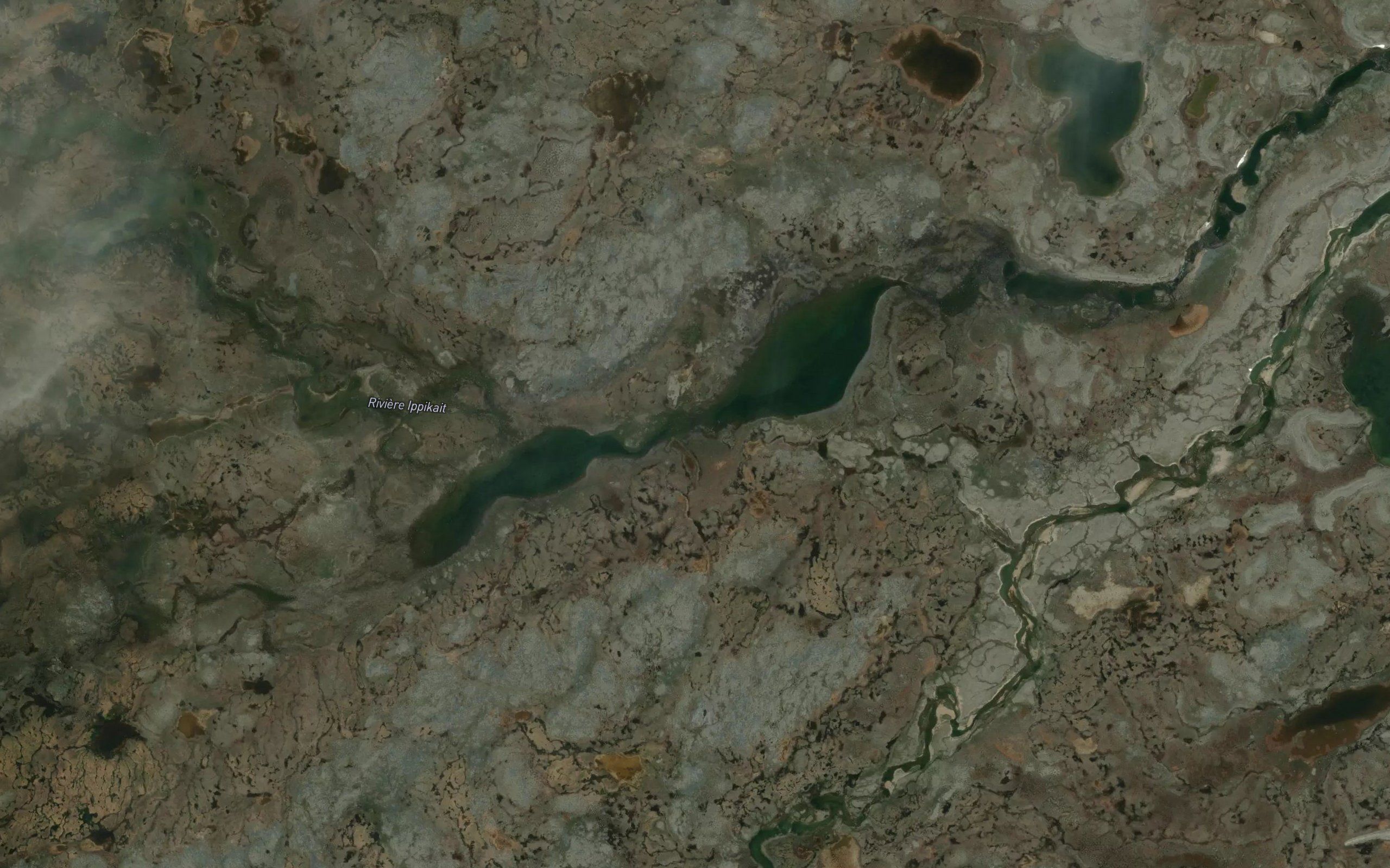 Lac Ippikait