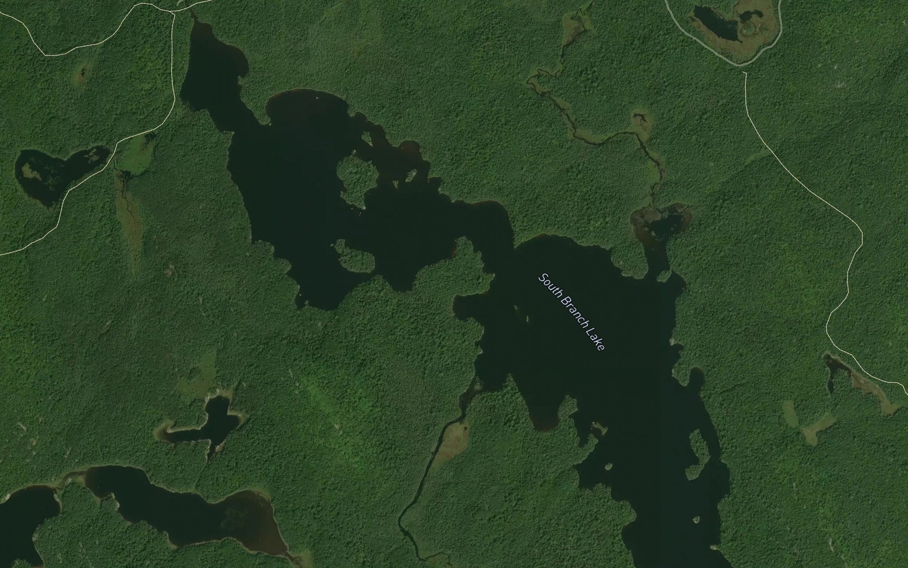 Satellite map of the South Branch Lake