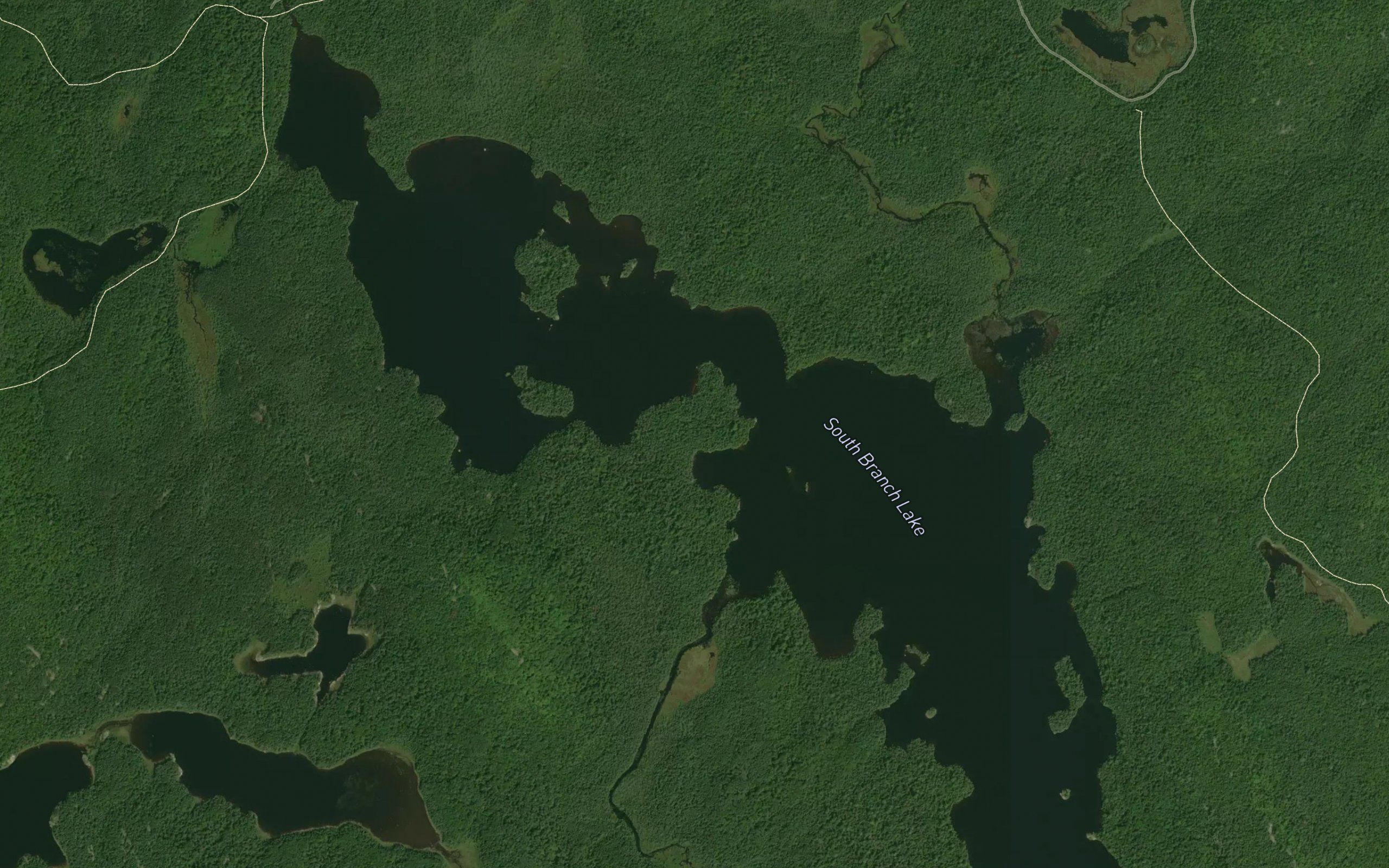 South Branch Lake