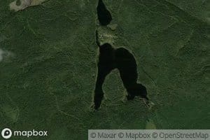 Lac Fox