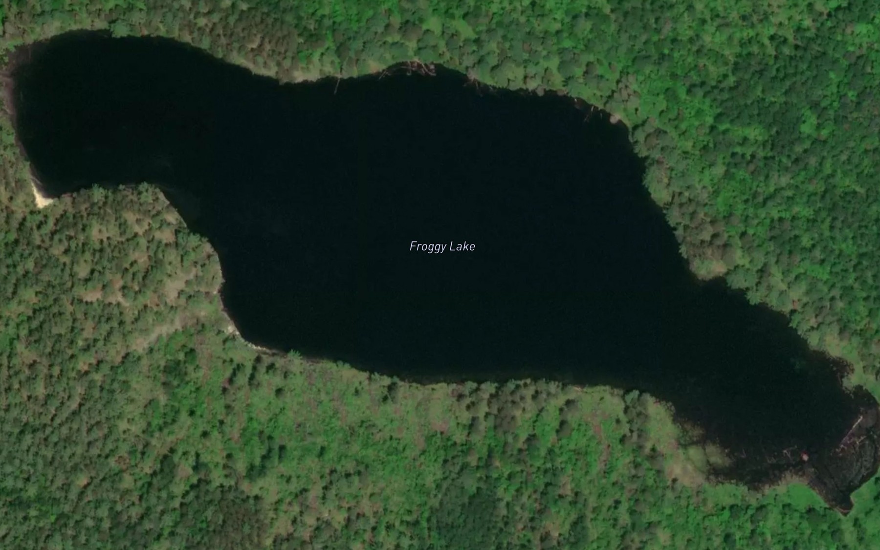 Satellite map of the Froggy Lake