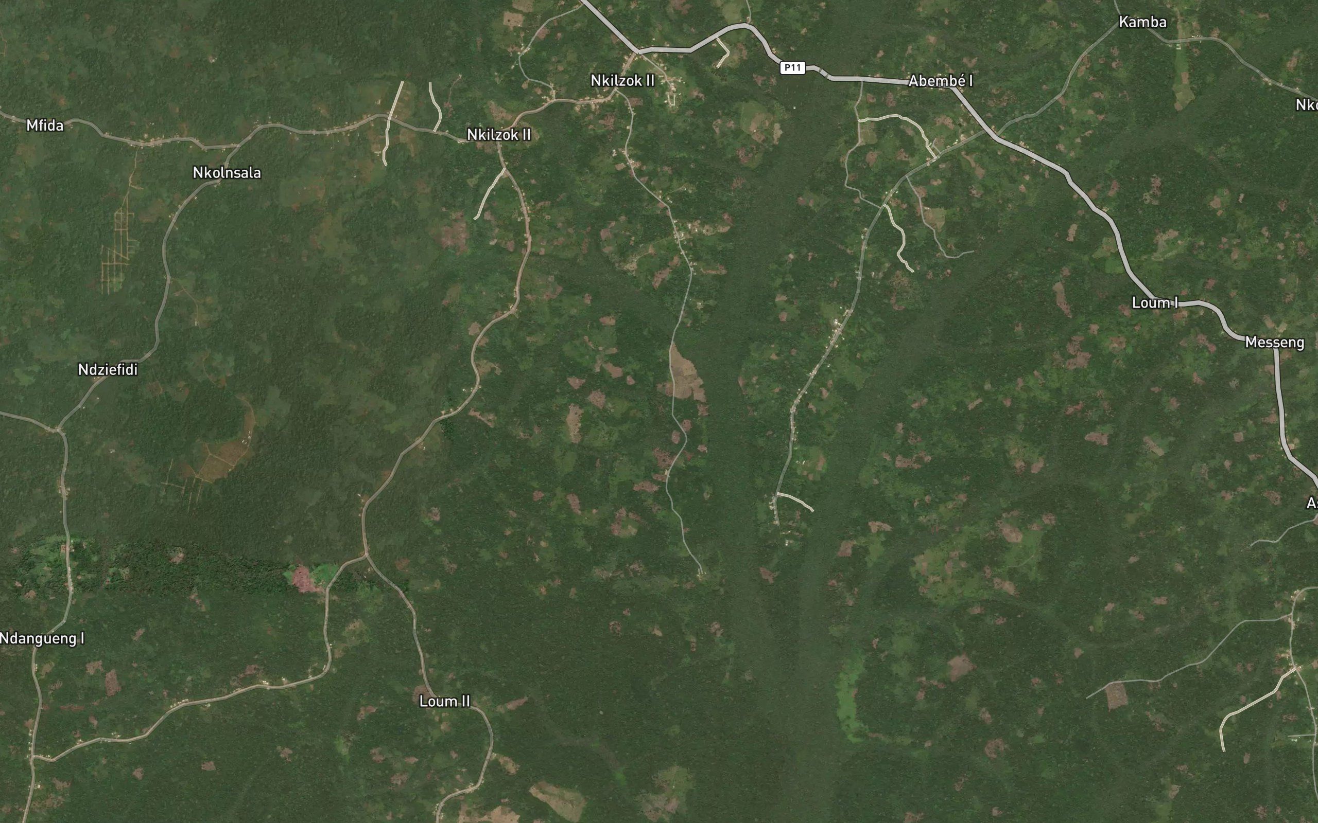 Zogobela