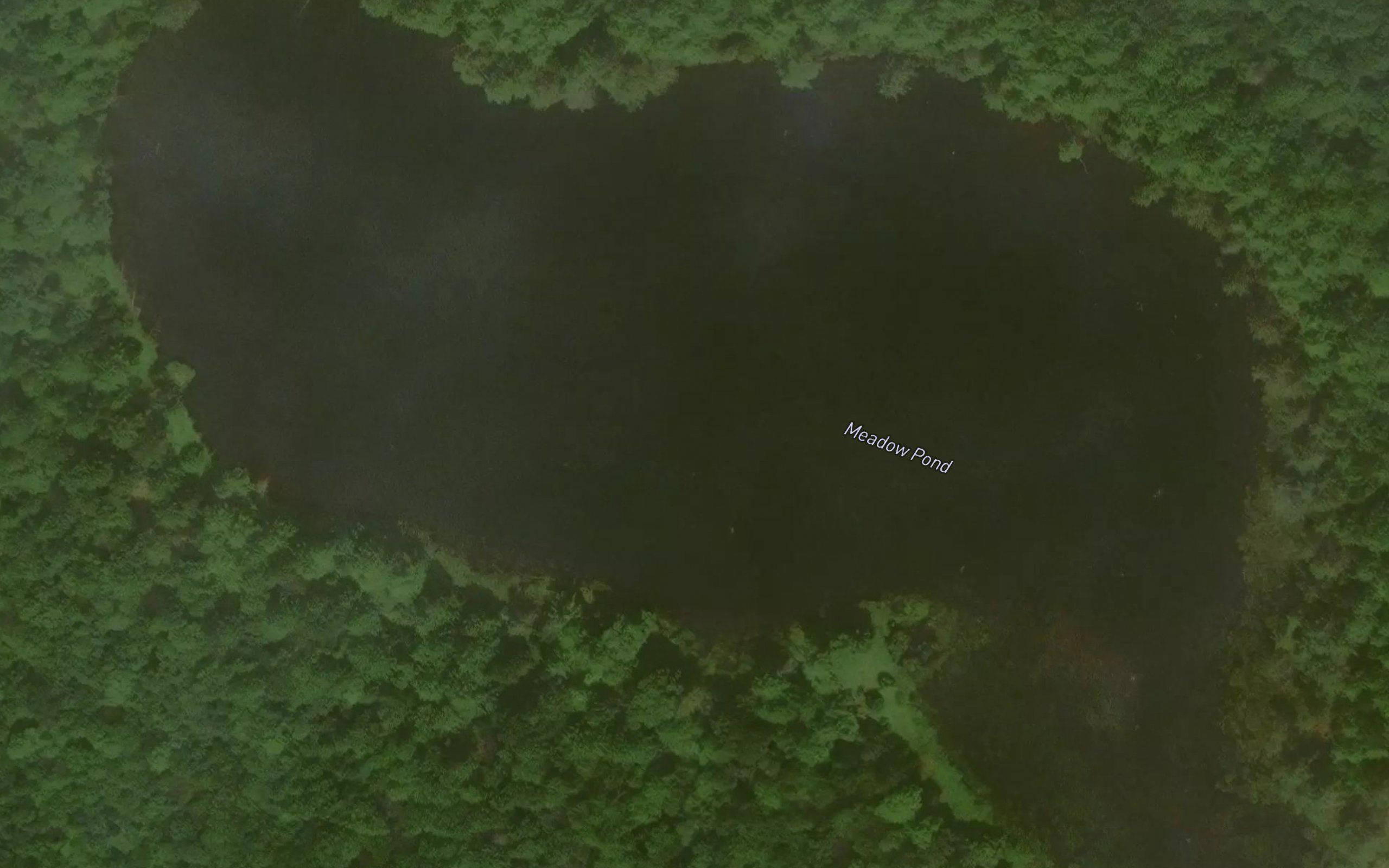 Meadow Pond