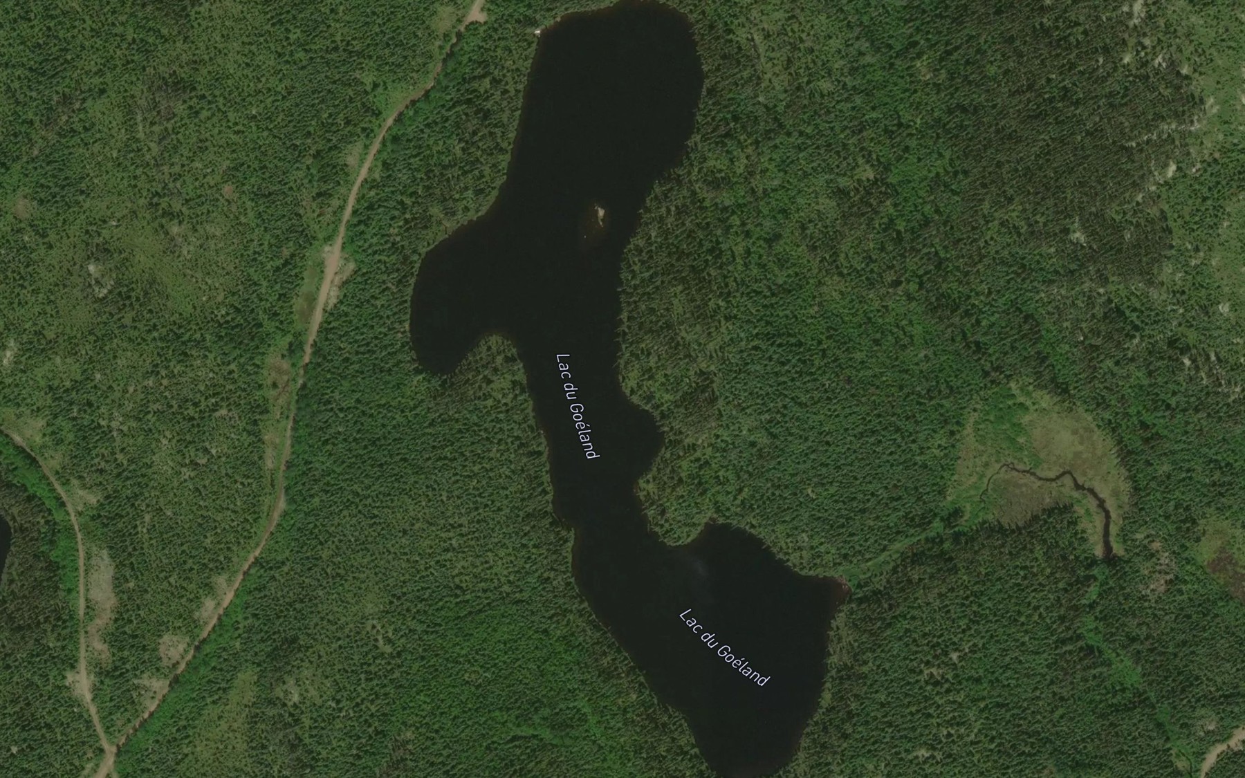 Satellite map of the Lac du Goeland