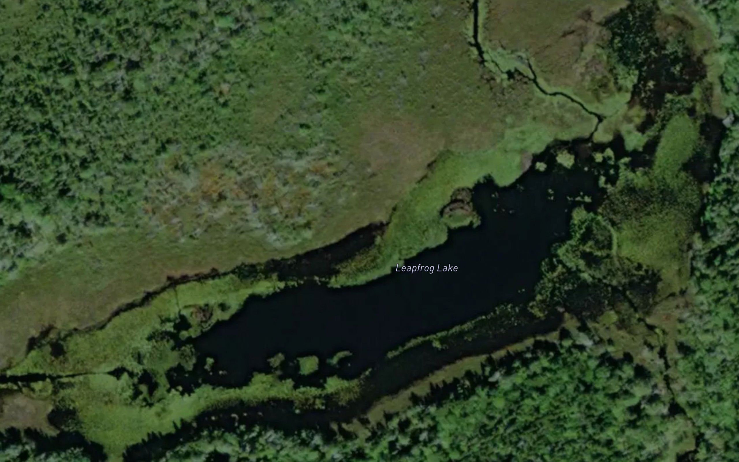 Leapfrog Lake