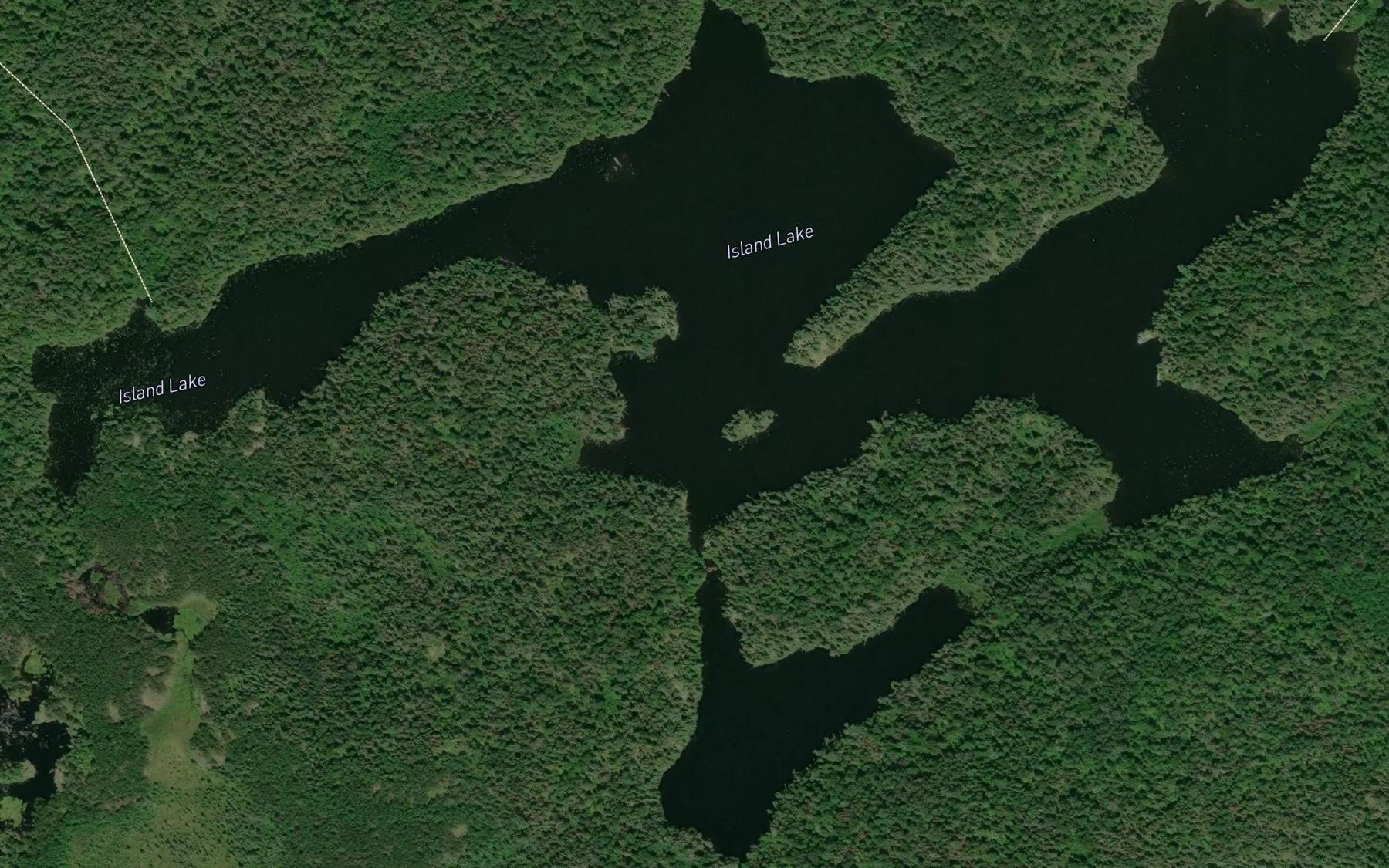 Satellite map of the Island Lake