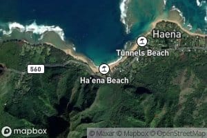 Manoa Stream