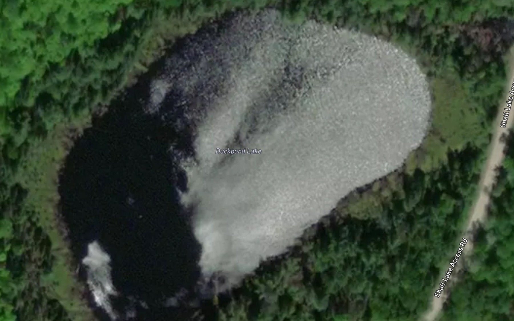 Satellite map of the Duckpond Lake