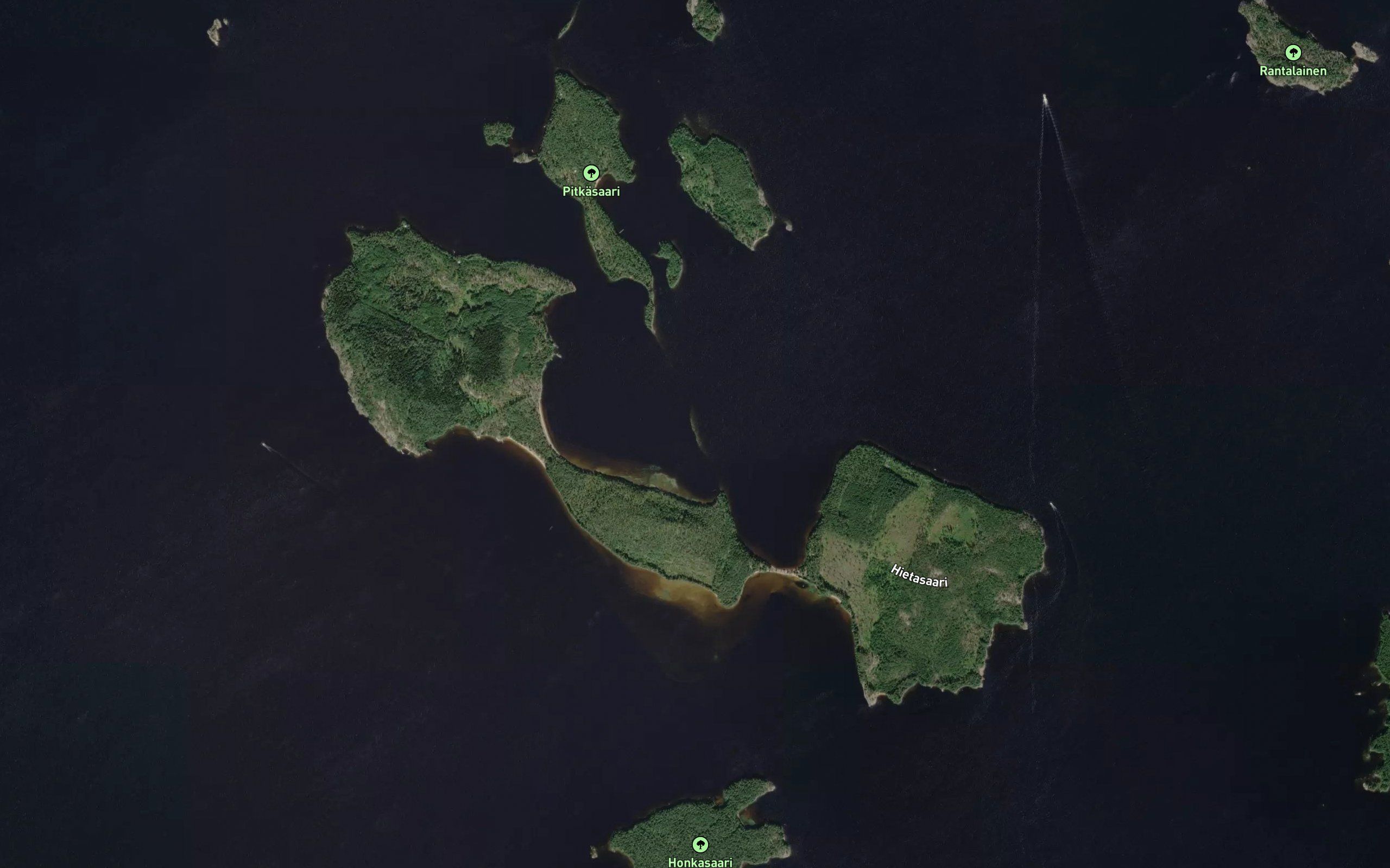Kameliharju