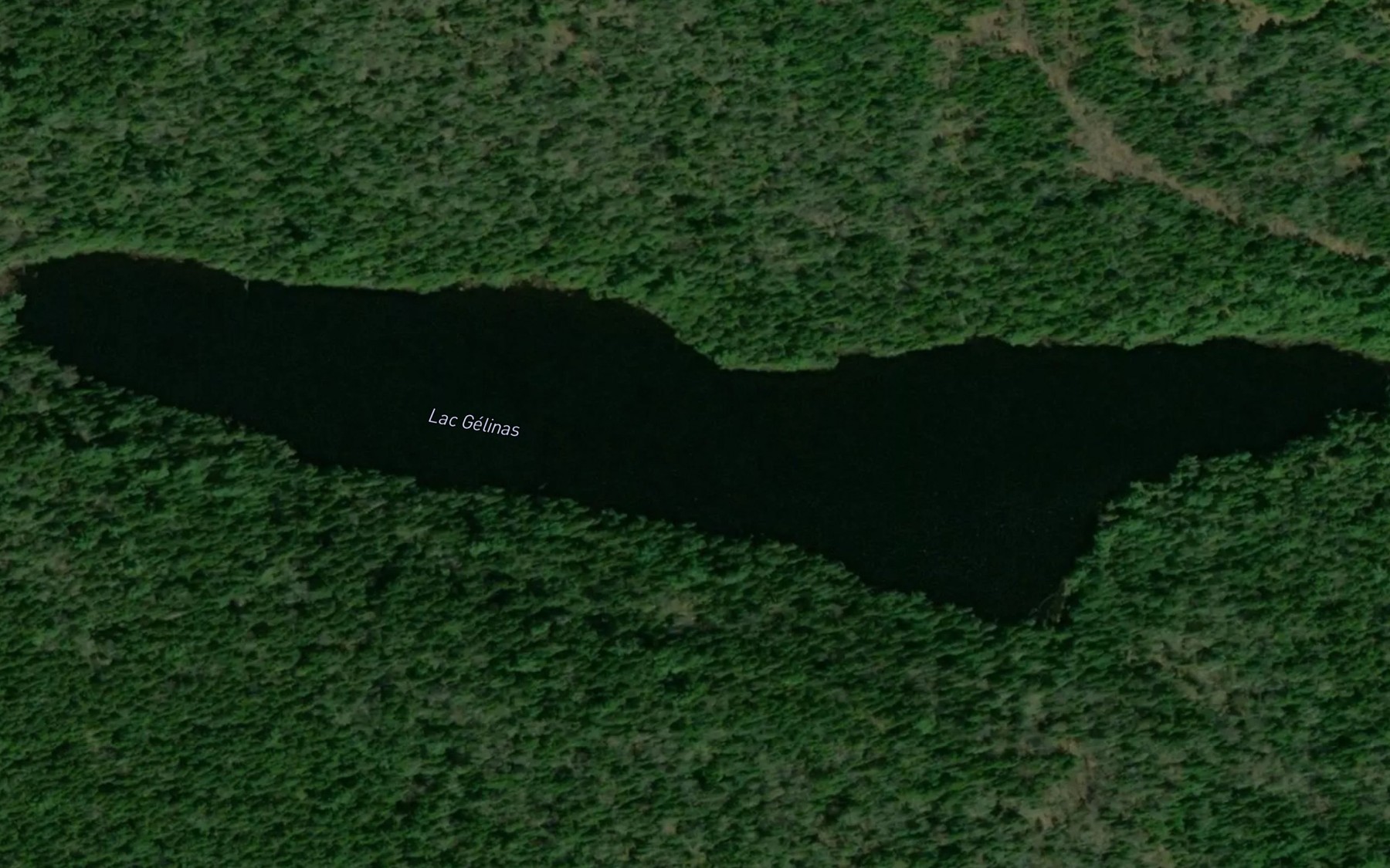 Satellite map of the Lac Gelinas