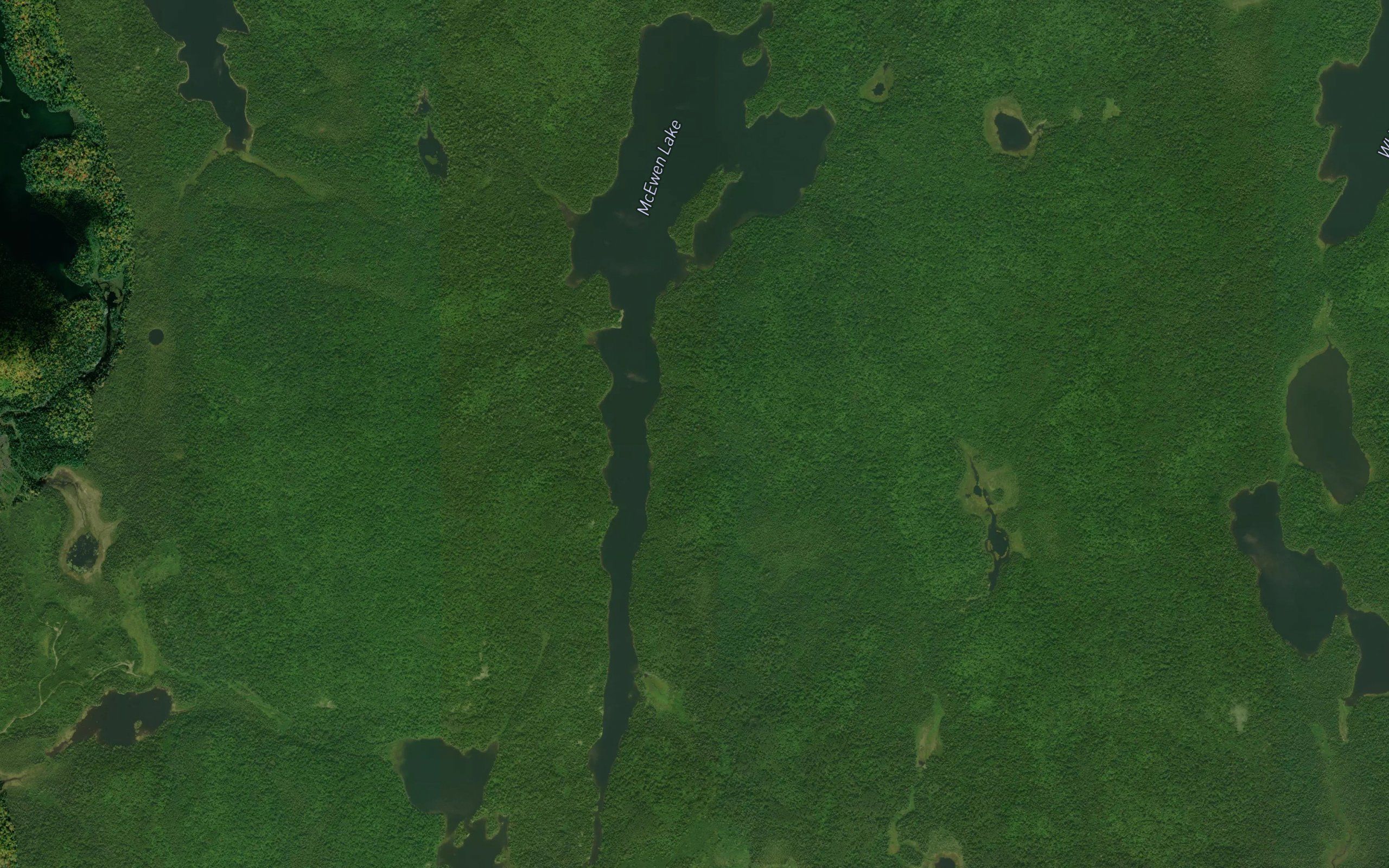 McEwen Lake