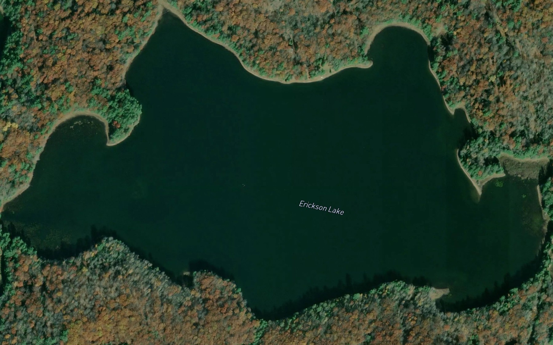Satellite map of the Erickson Lake