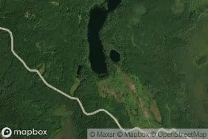 Bloom Lake