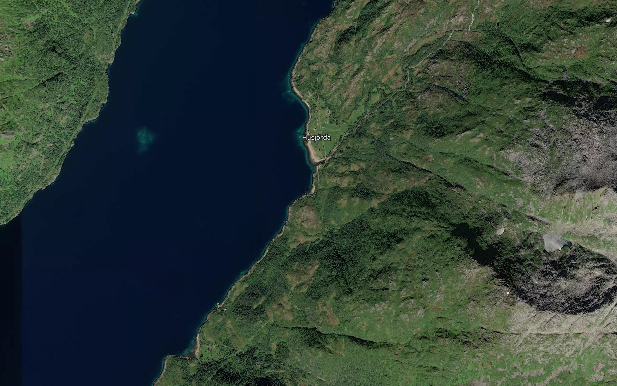 Elvhagvika