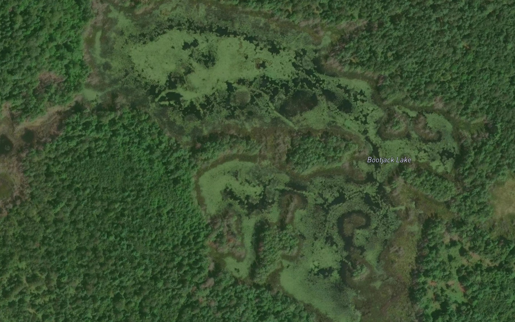 Satellite map of the Bootjack Lake