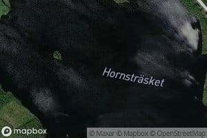 Hornstraesket