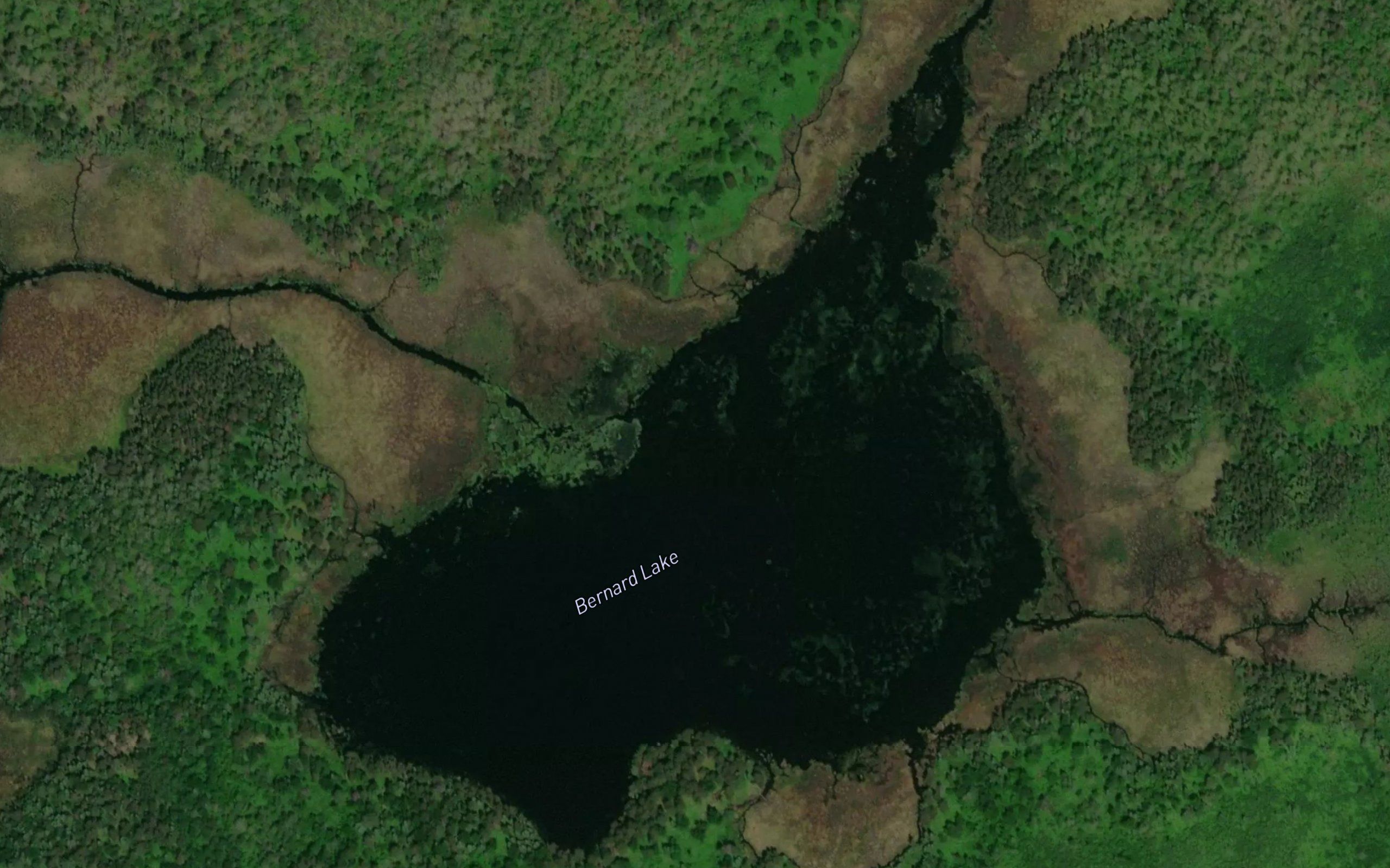 Bernard Lake
