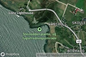 Vagsvollvika