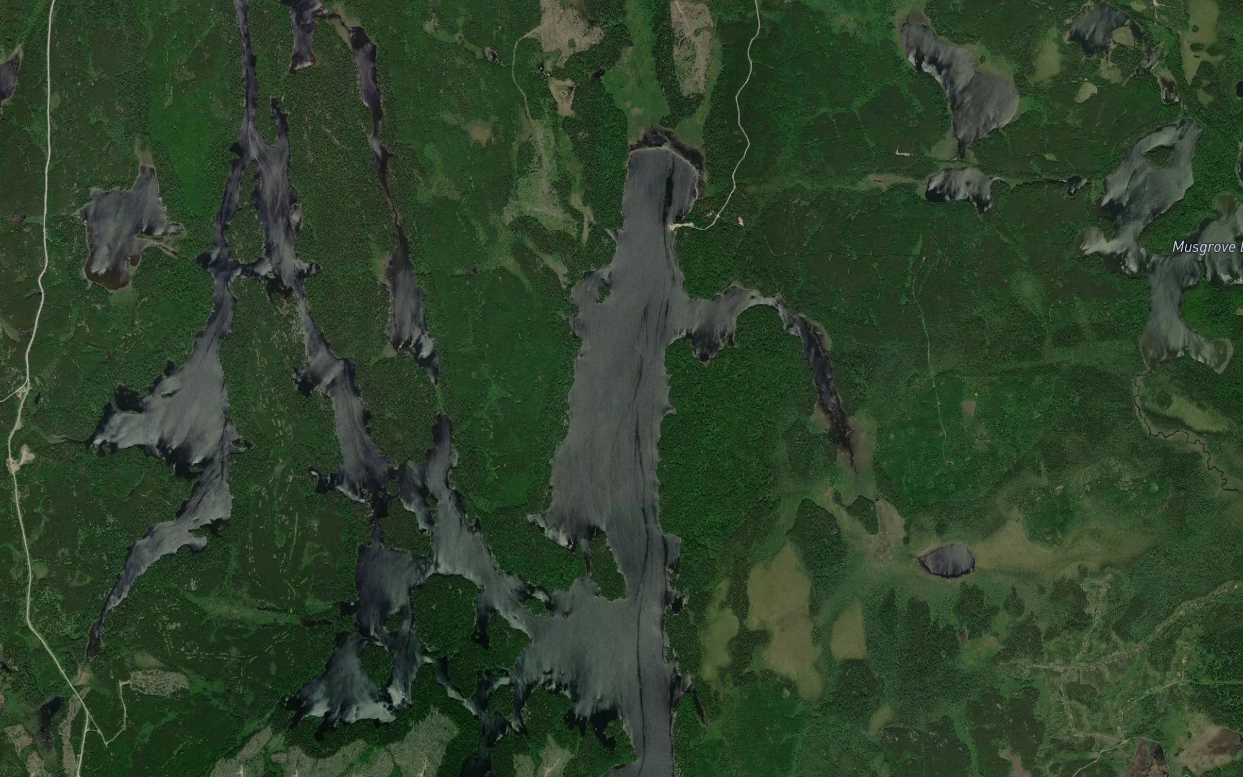 Mica Bay
