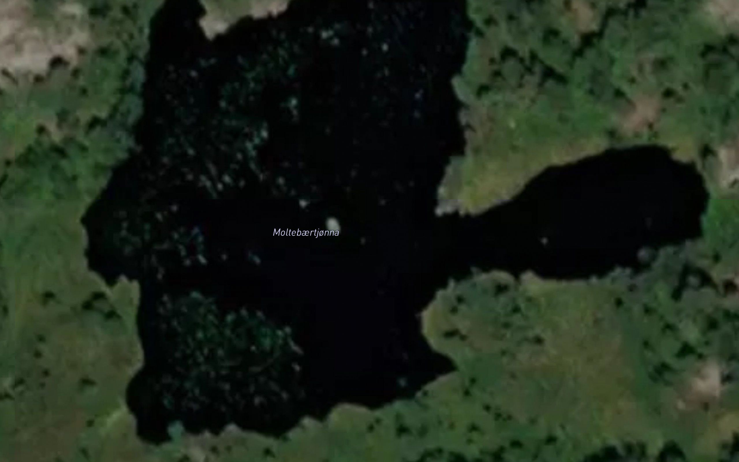 Moltebaertjonna