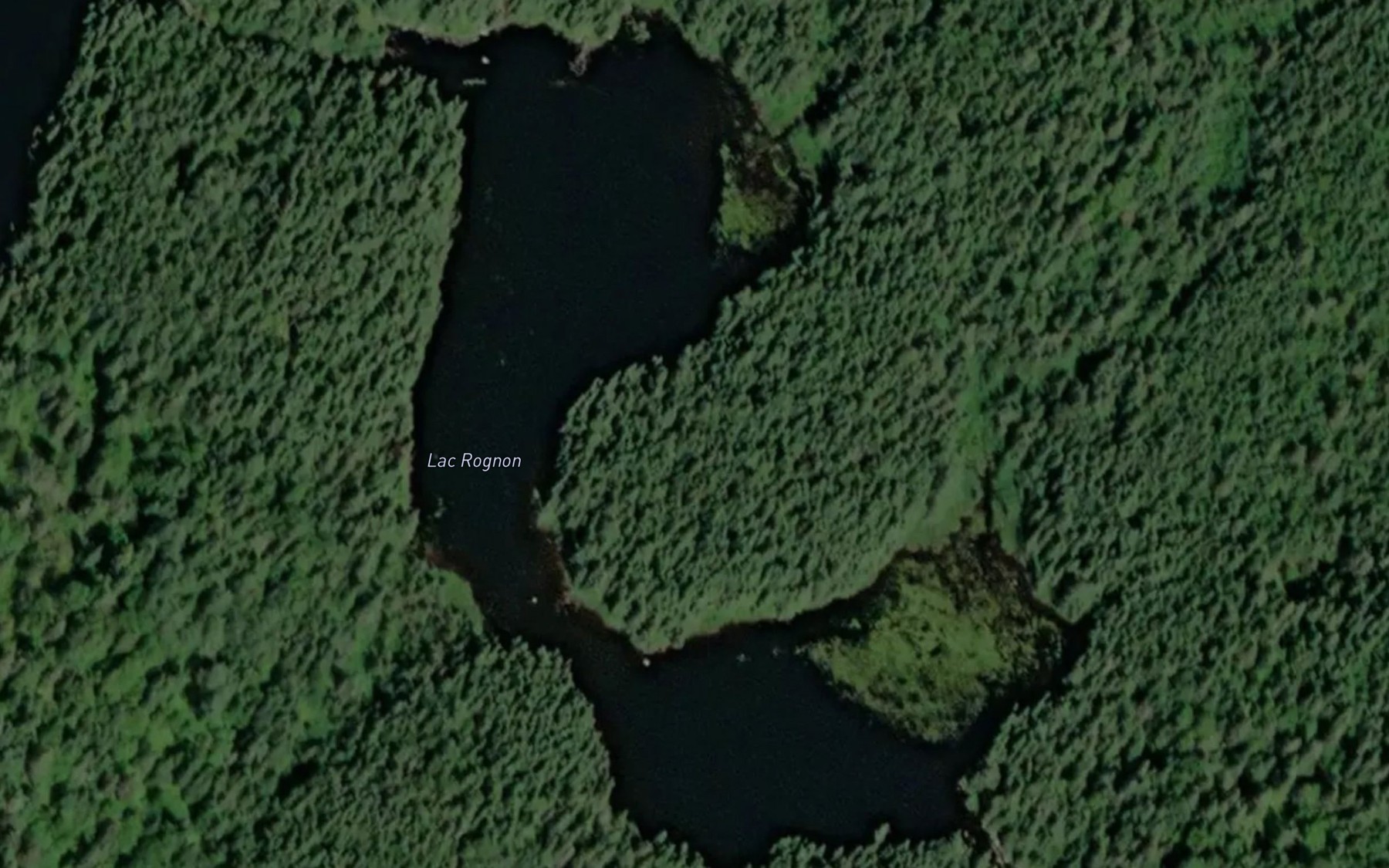 Satellite map of the Lac Rognon