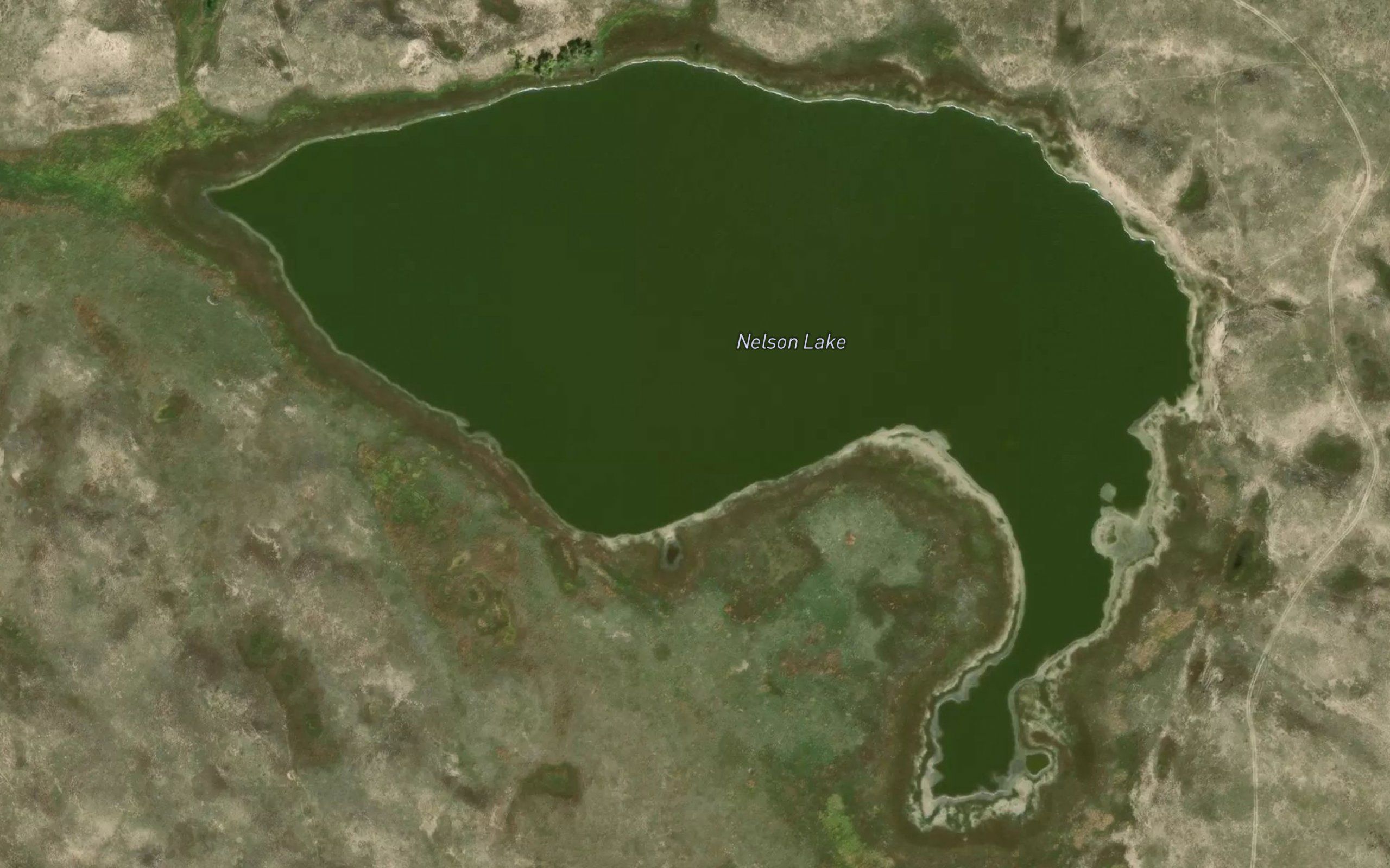 Nelson Lake