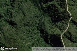 East Branch of Little Nerang Creek