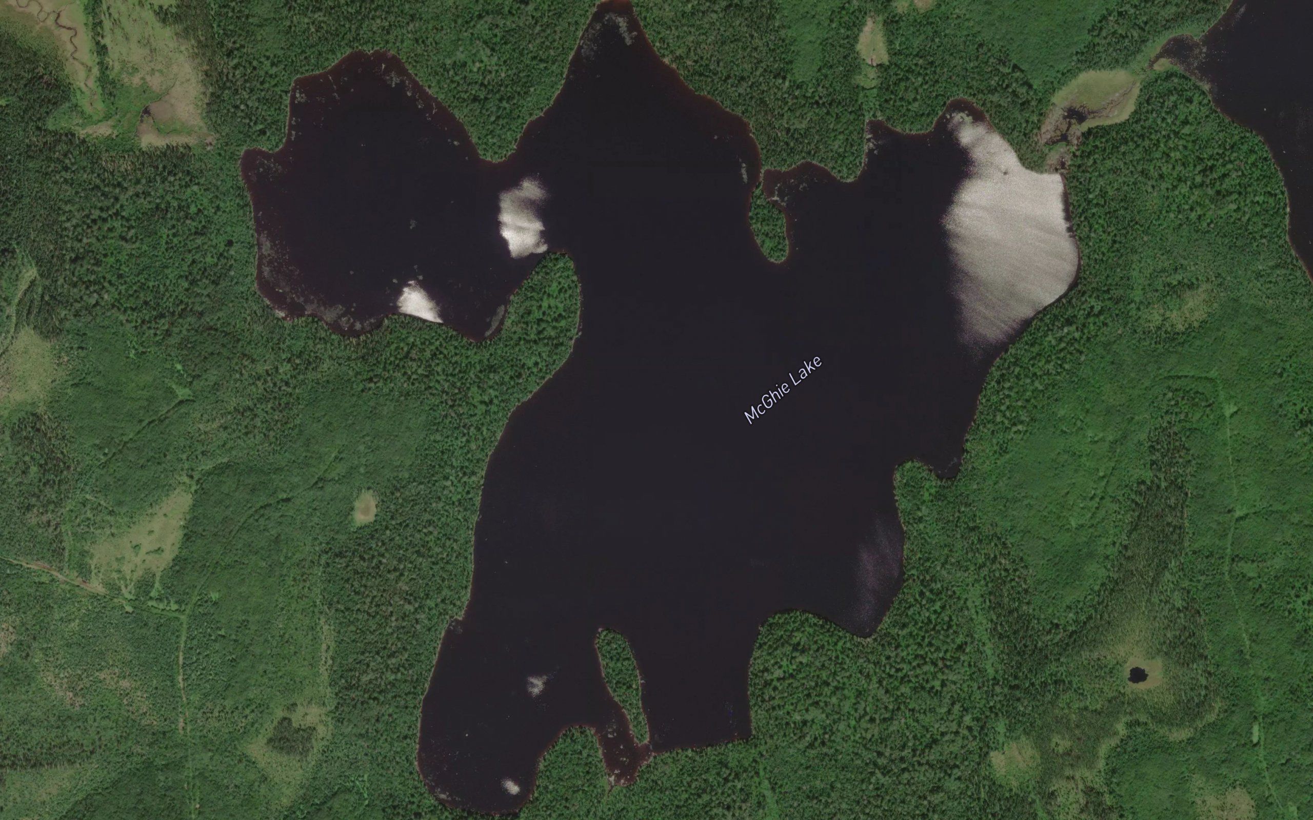McGhie Lake