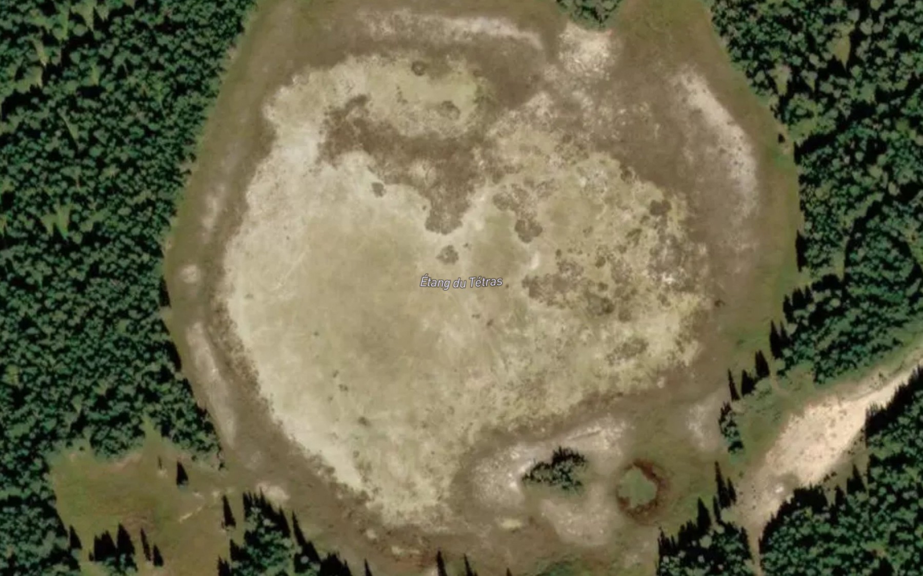 Satellite map of the Etang du Tetras