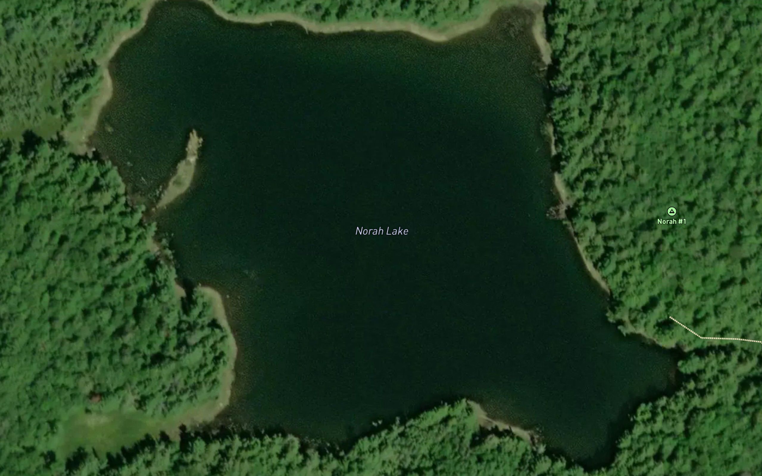 Norah Lake