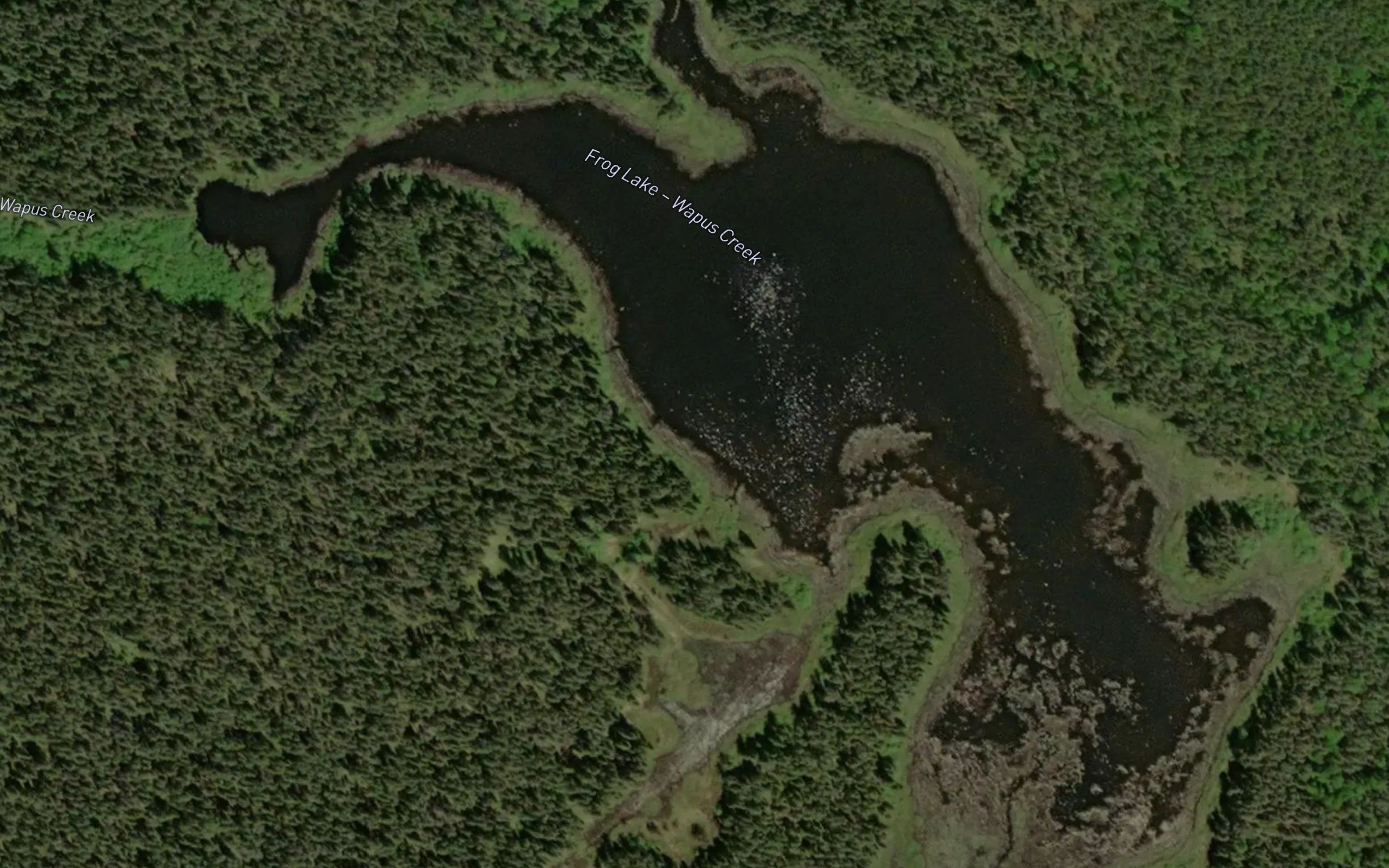 Frog Lake
