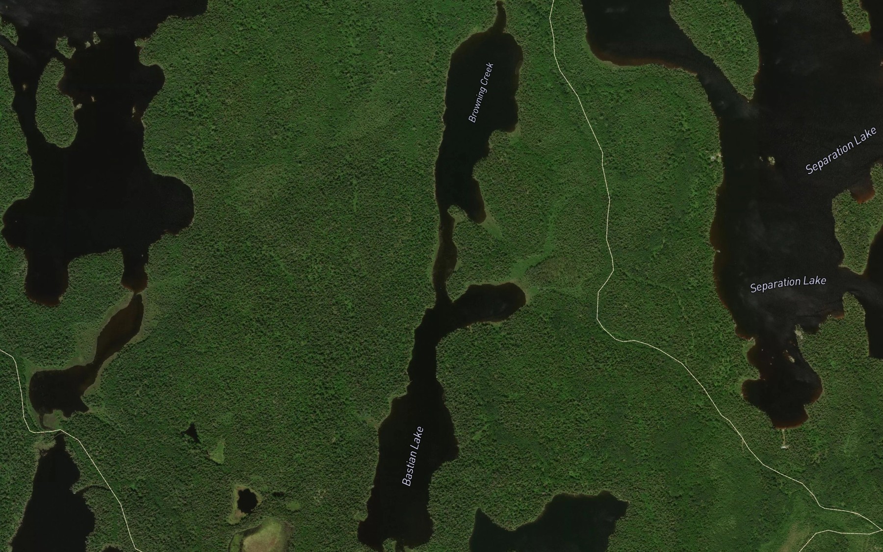 Satellite map of the Bastian Lake