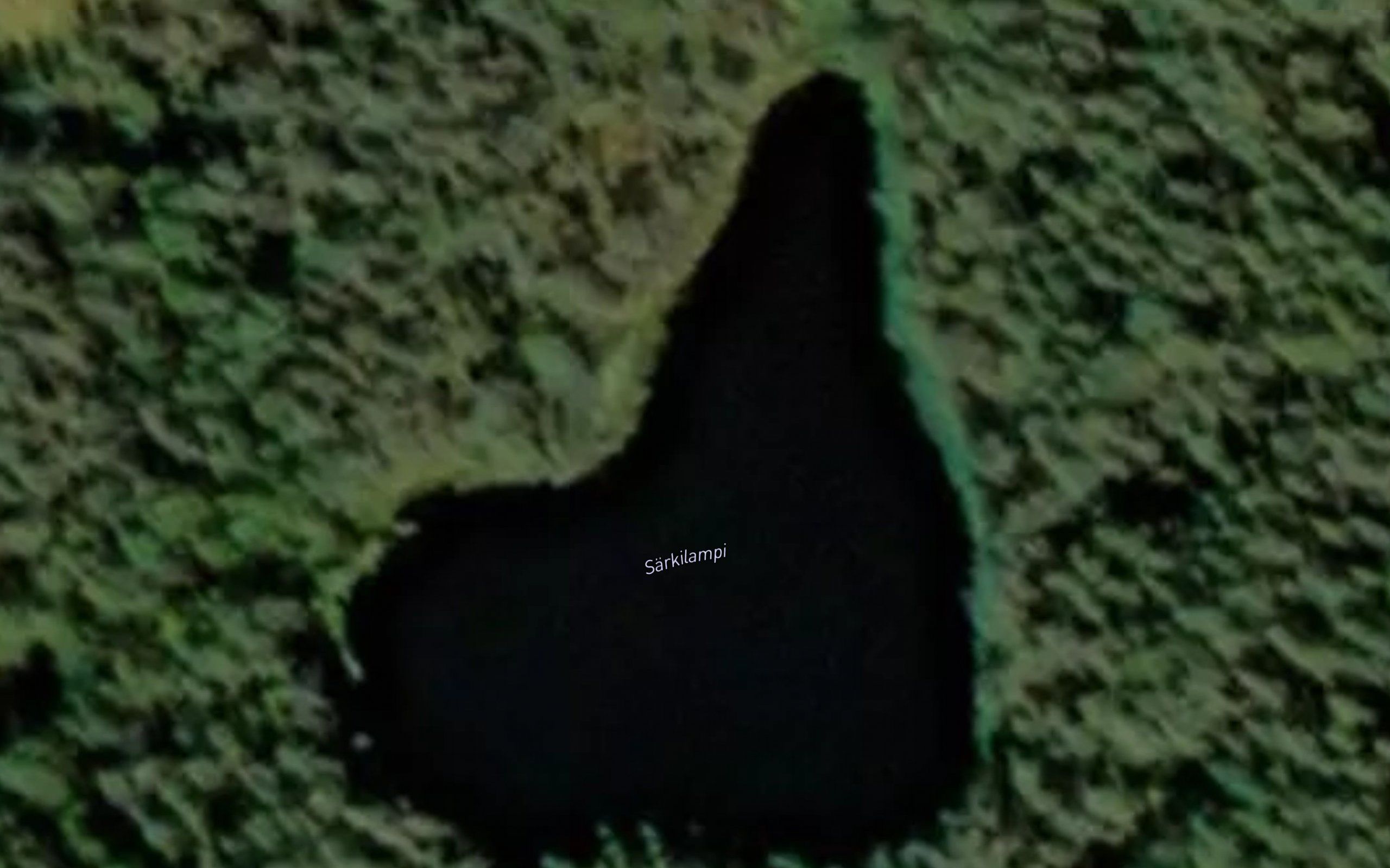 Sarkilampi