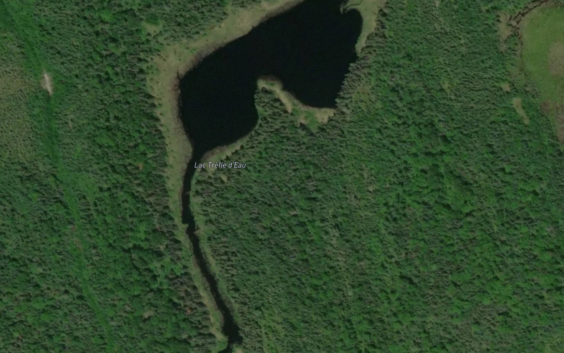 Satellite map of the Lac Trefle d'Eau