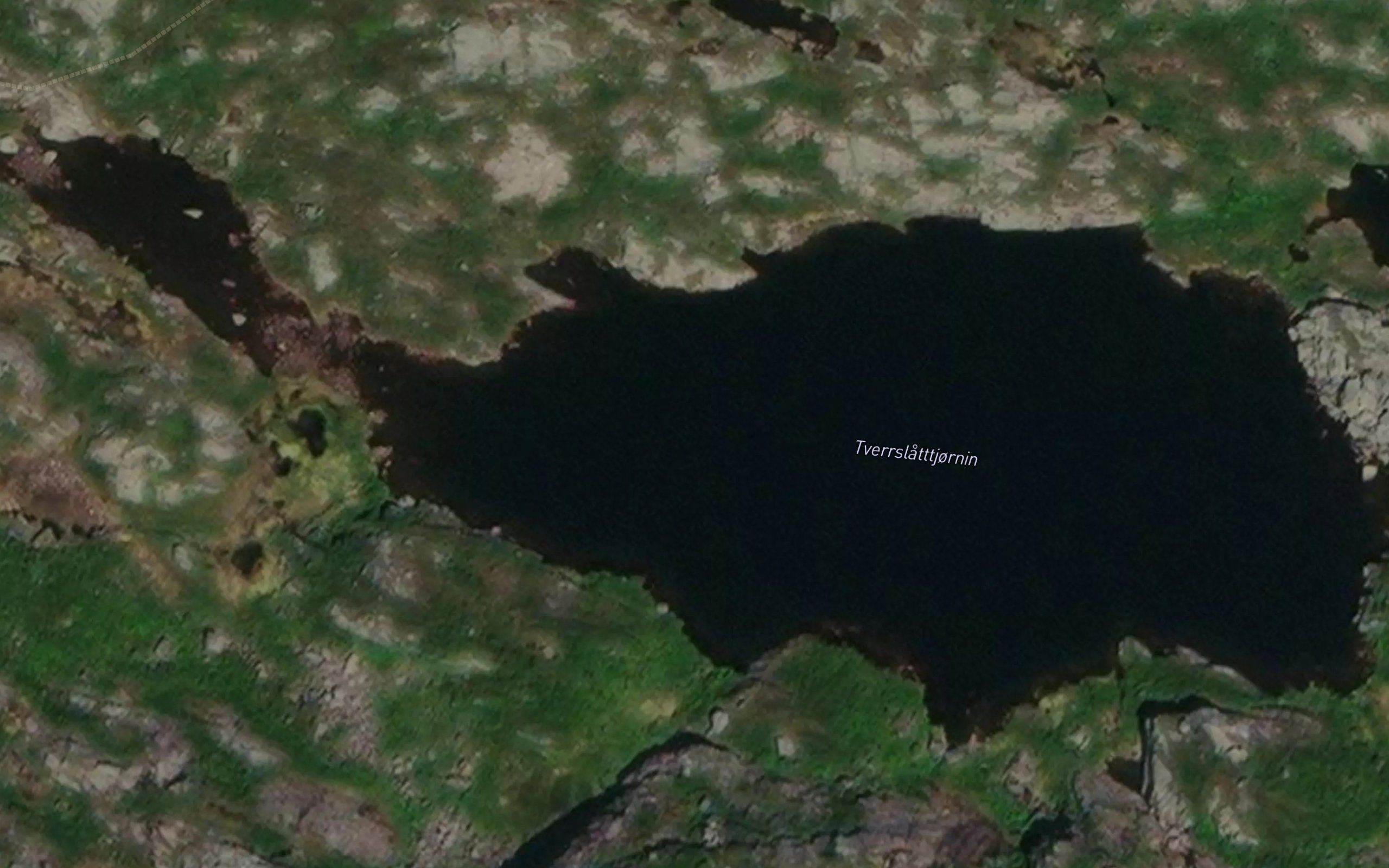 Tverrslatttjornin