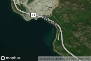 Tytebaervika
