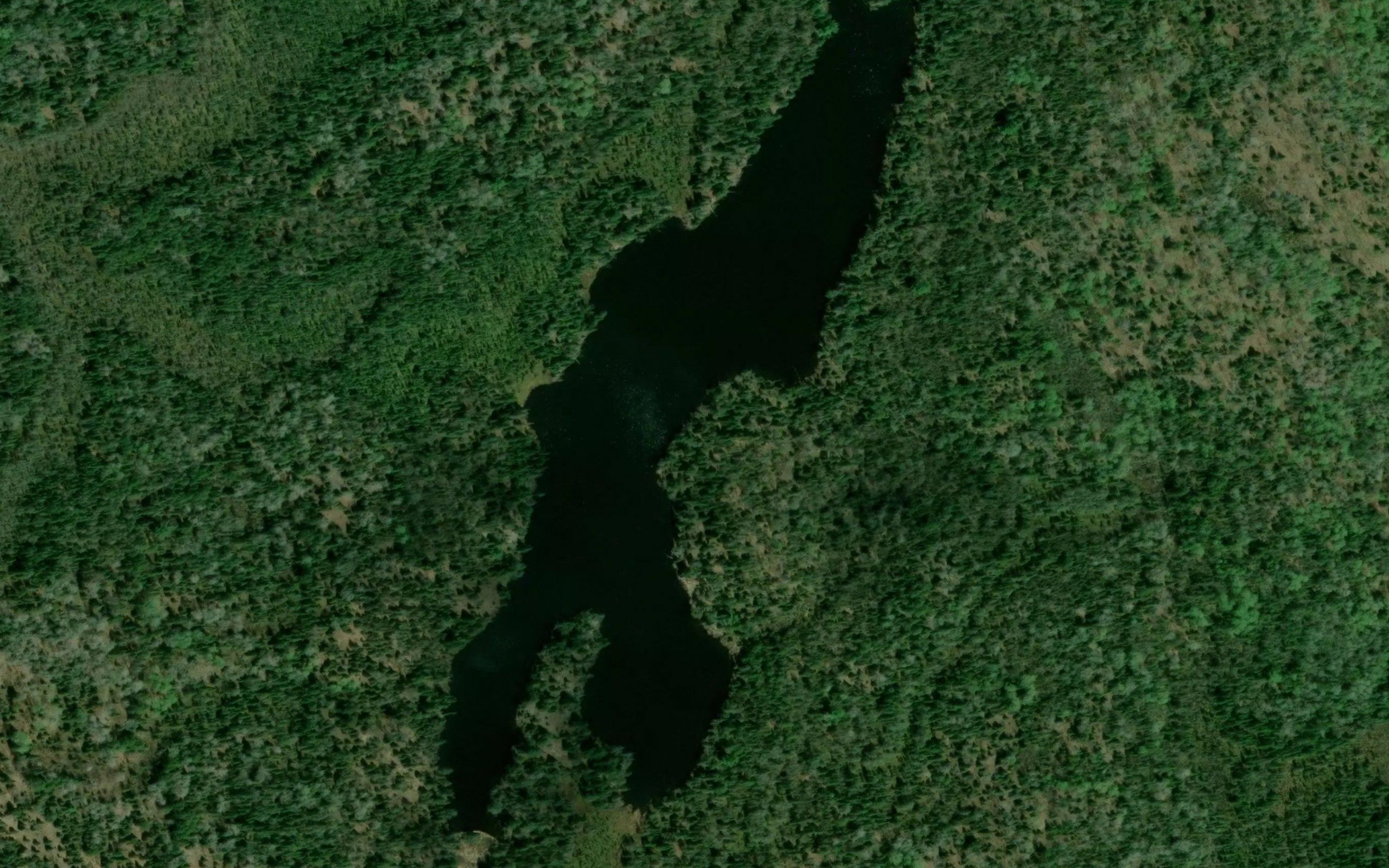 Wolverine Lake