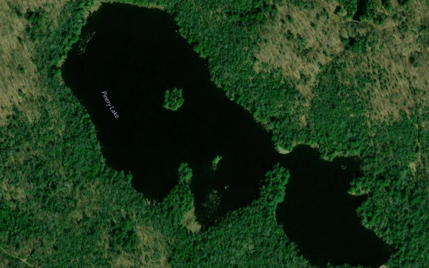 Satellite map of the Pinery Lake