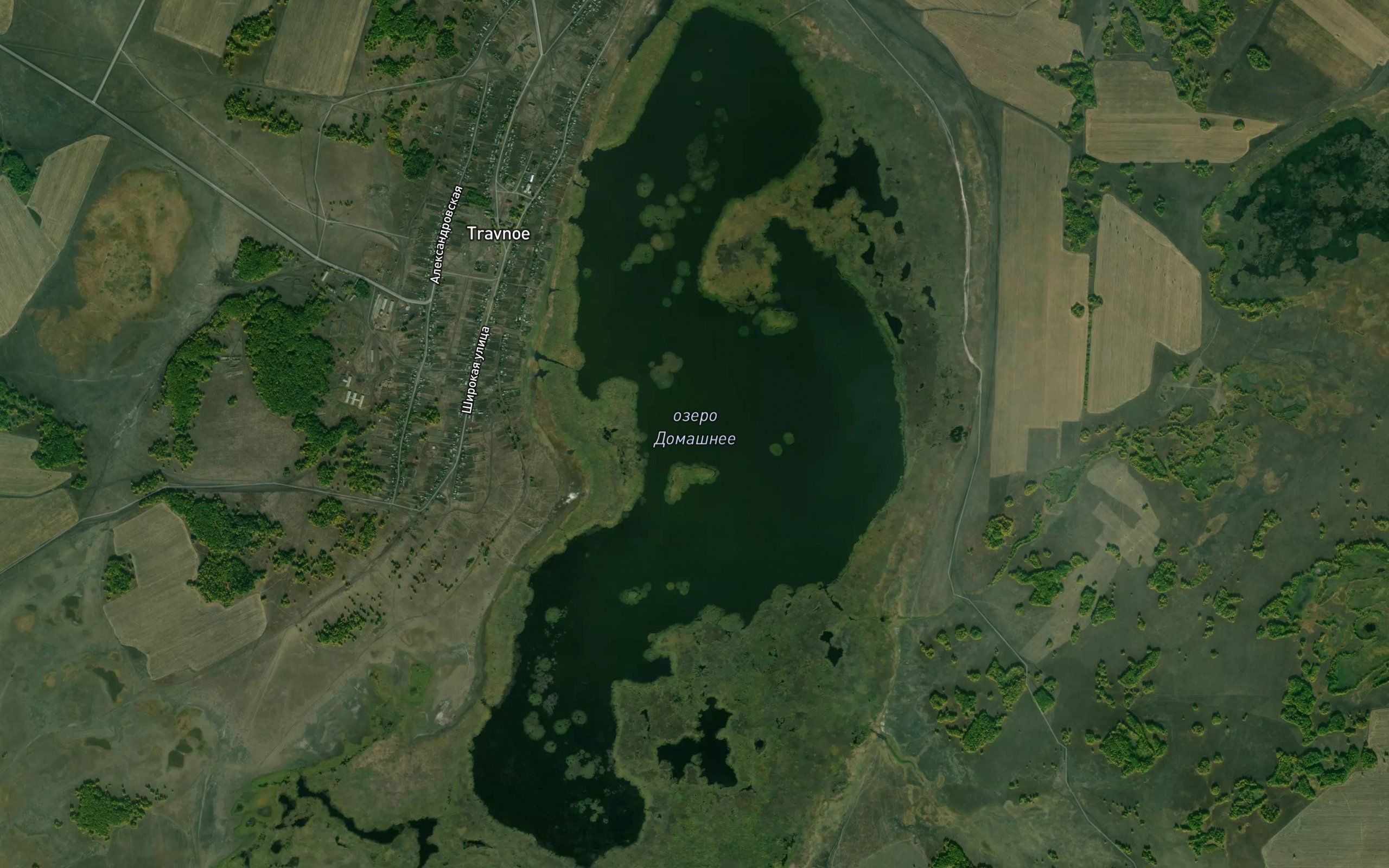 Ozero Domashneye