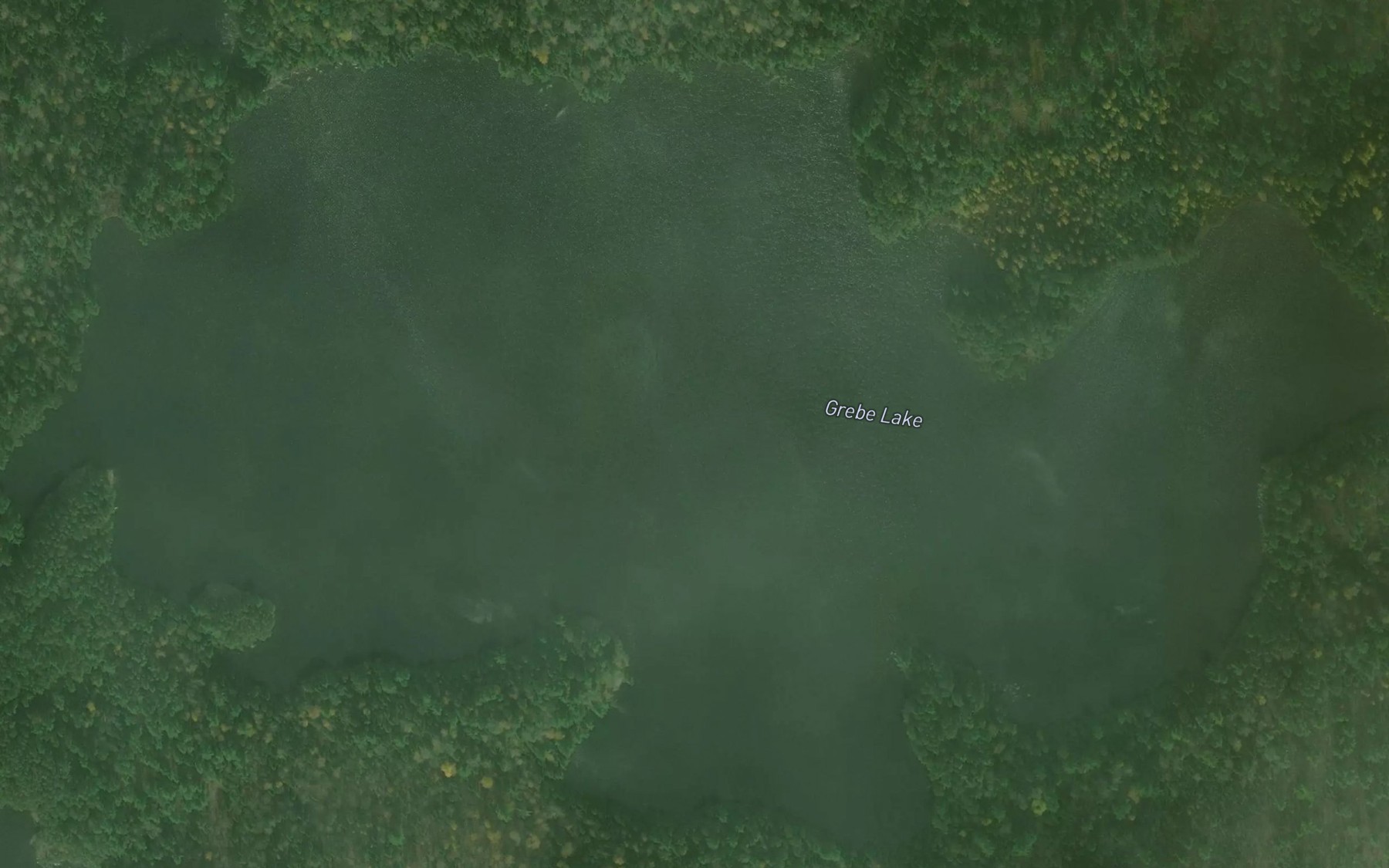 Satellite map of the Grebe Lake