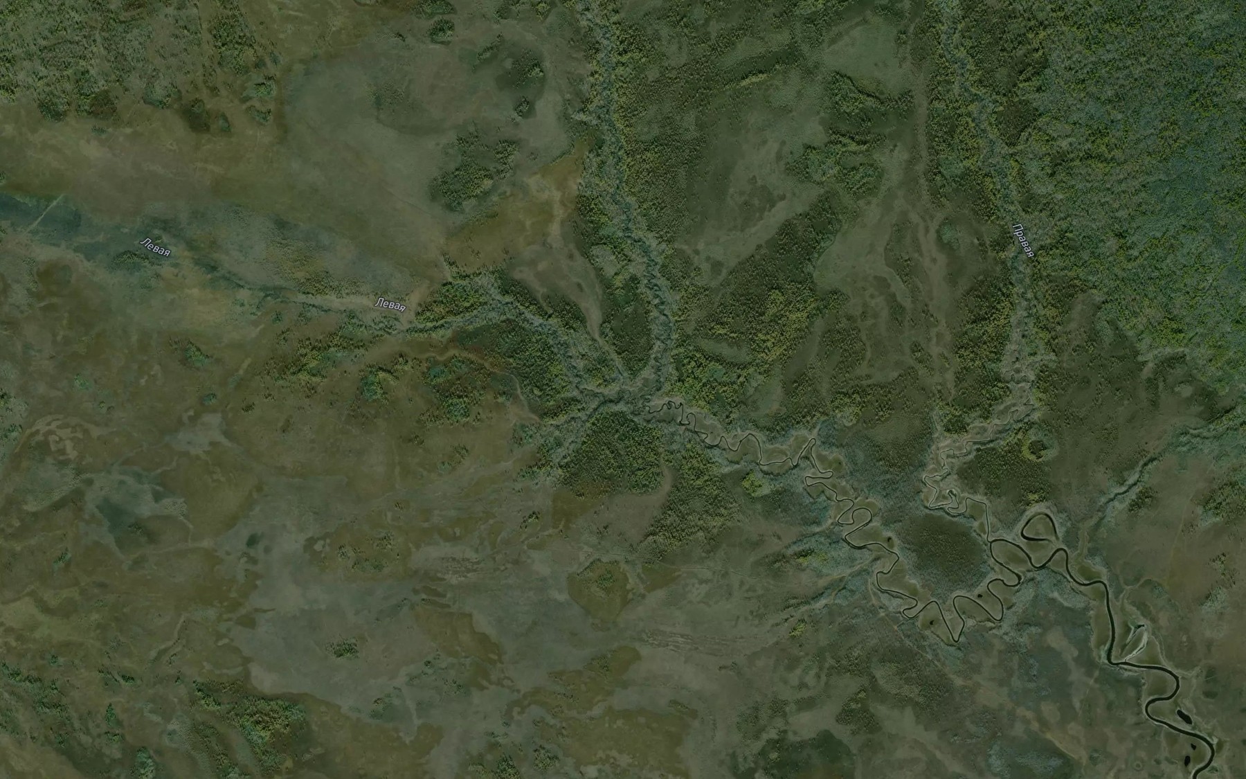 Satellite map of the Levaya