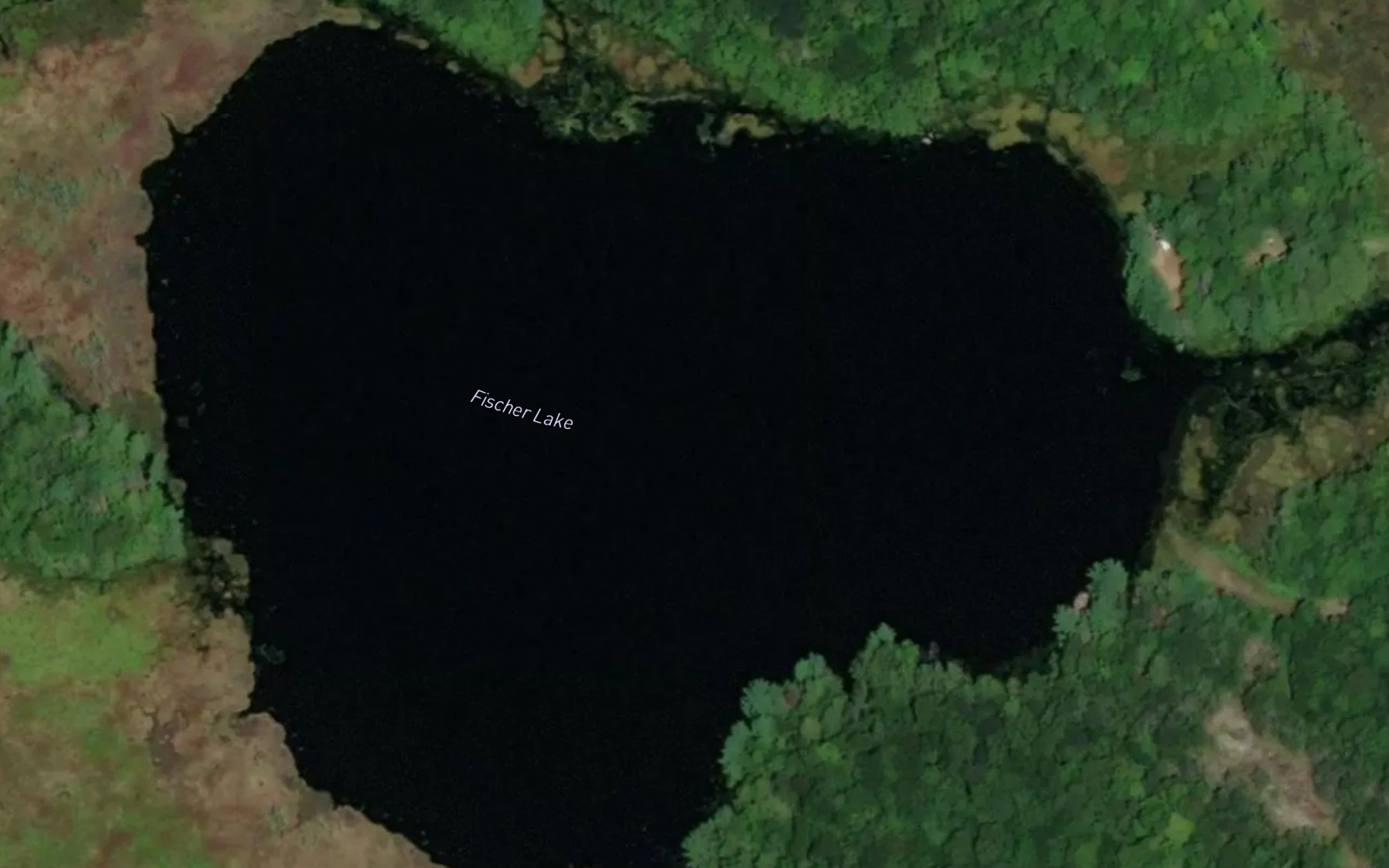Satellite map of the Fischer Lake