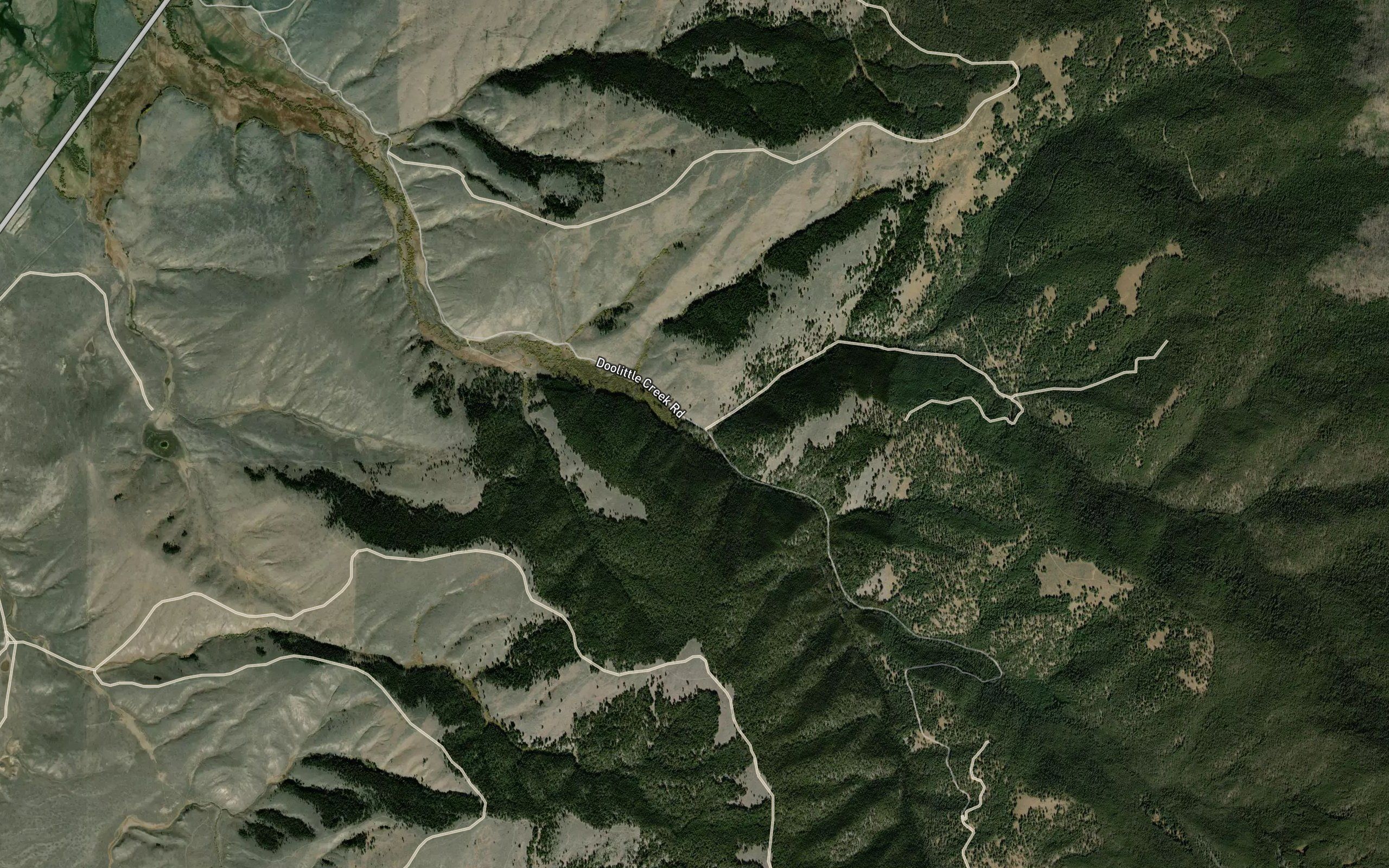 North Fork Doolittle Fork Creek
