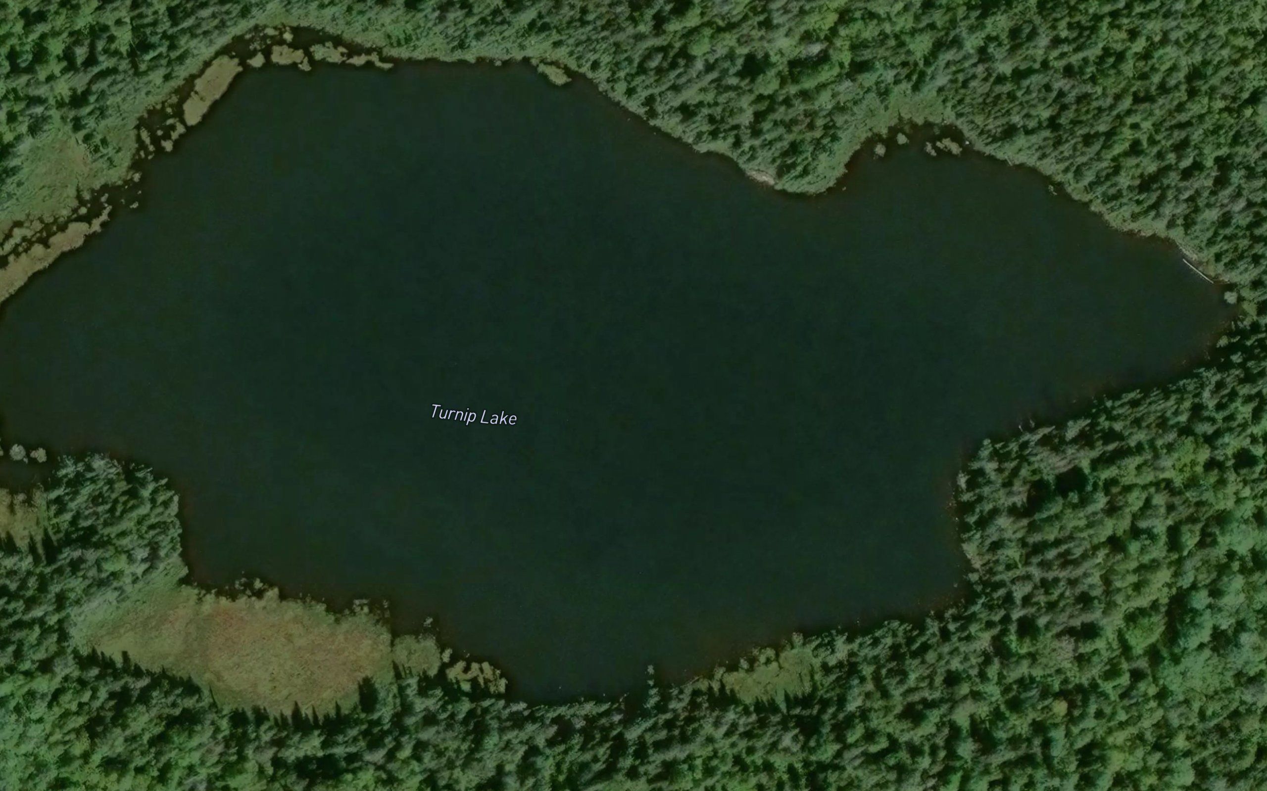 Turnip Lake
