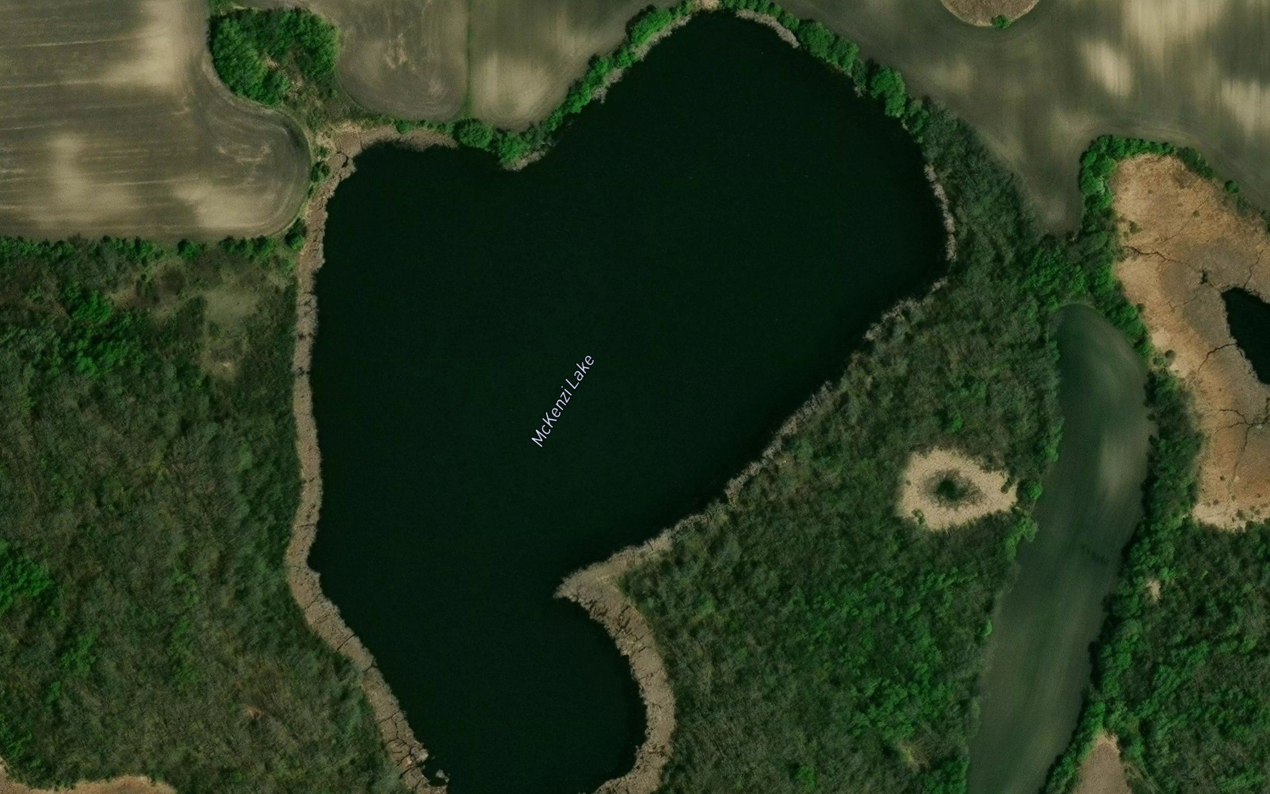 McKenzi Lake