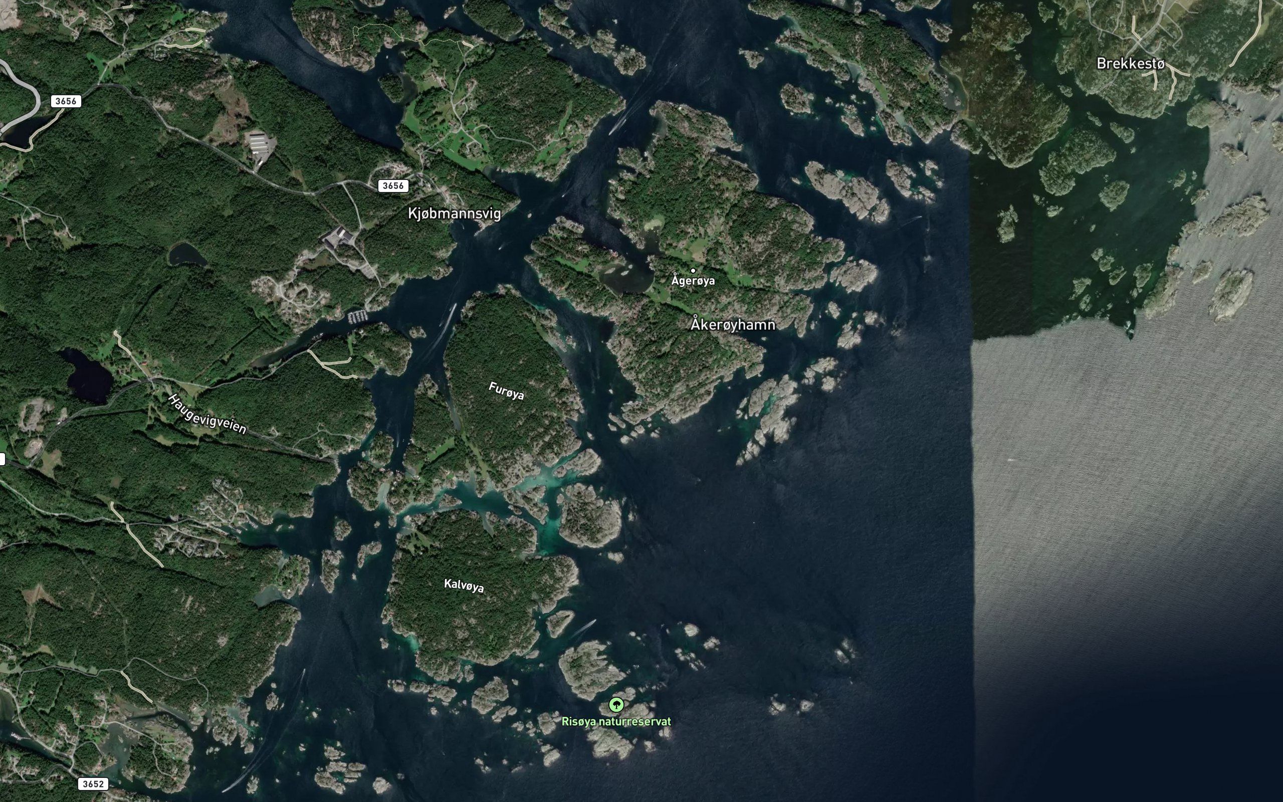 Stormbukta