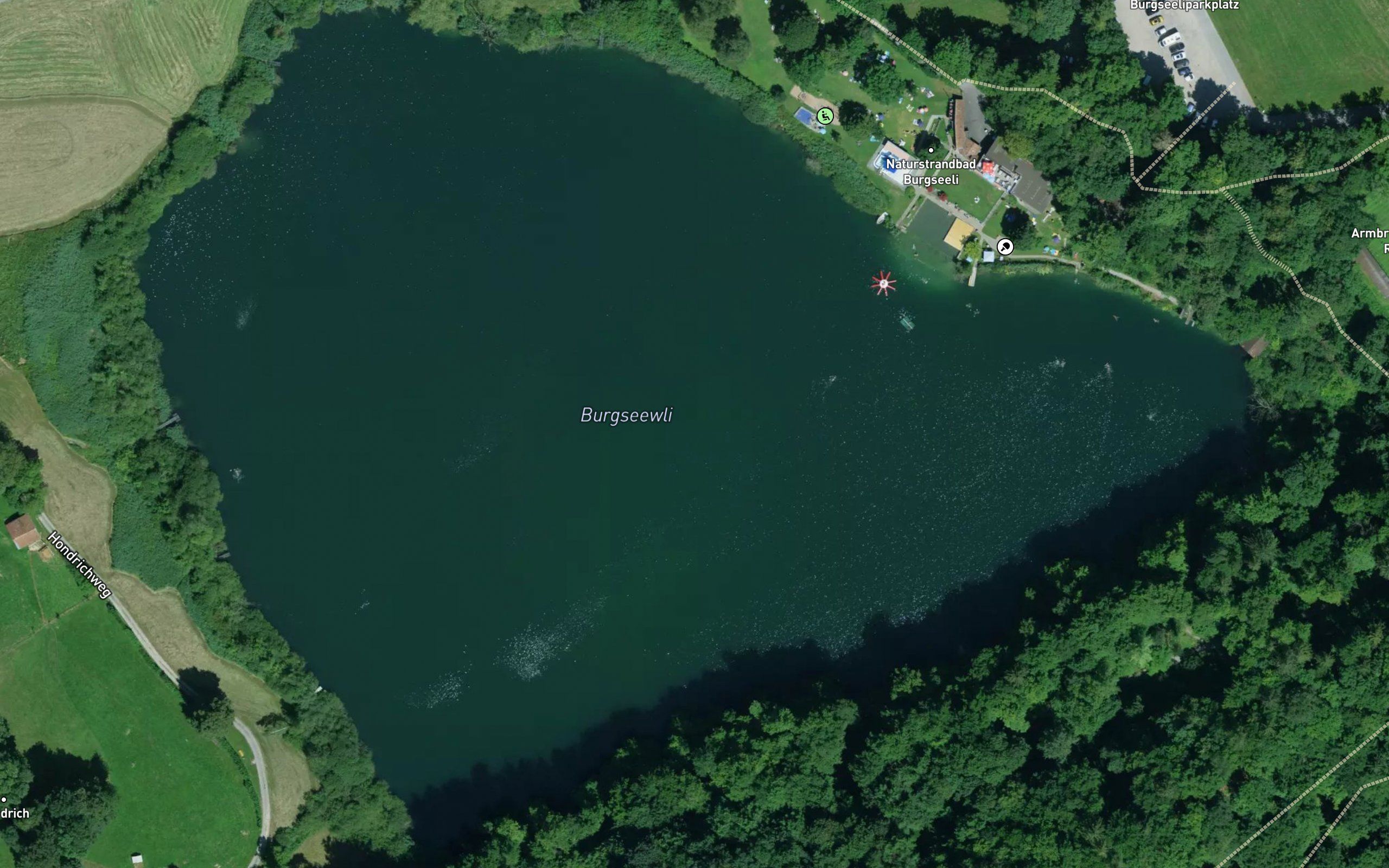 Burgseeli