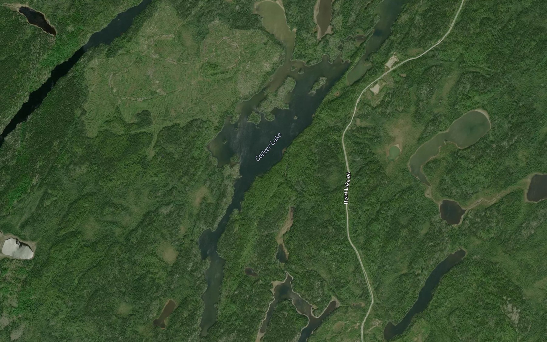 Satellite map of the Collver Lake