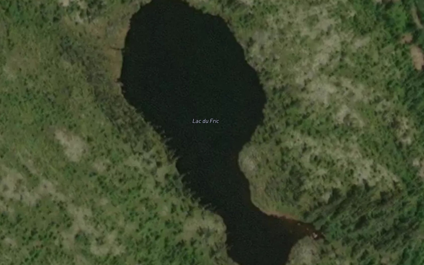 Satellite map of the Lac du Fric